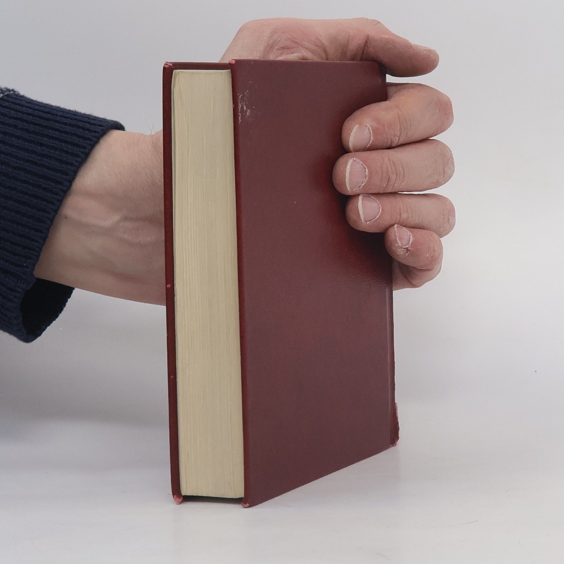 Autorenkollektiv Bible. Písmo svaté Starého i Nového zákona. Ekumenický překlad