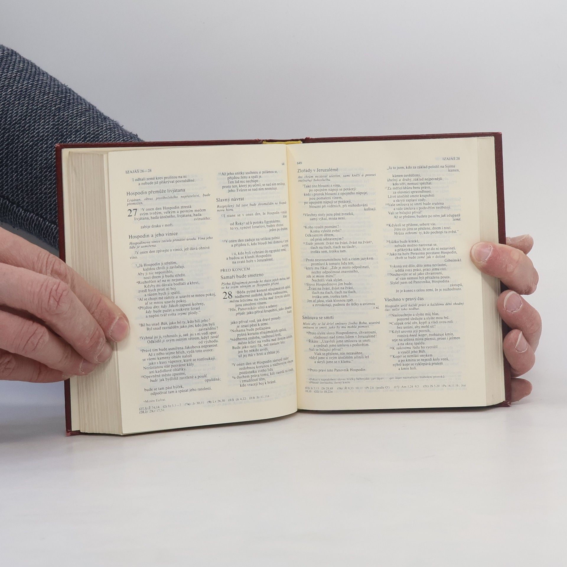 Autorenkollektiv Bible. Písmo svaté Starého i Nového zákona. Ekumenický překlad