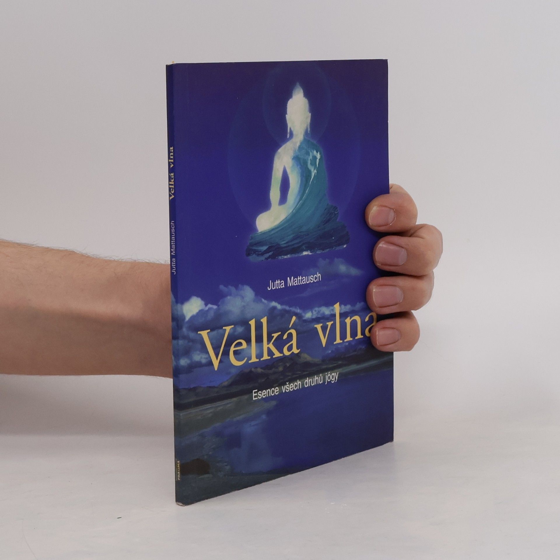 Velká vlna. Esence všech druhů jógy