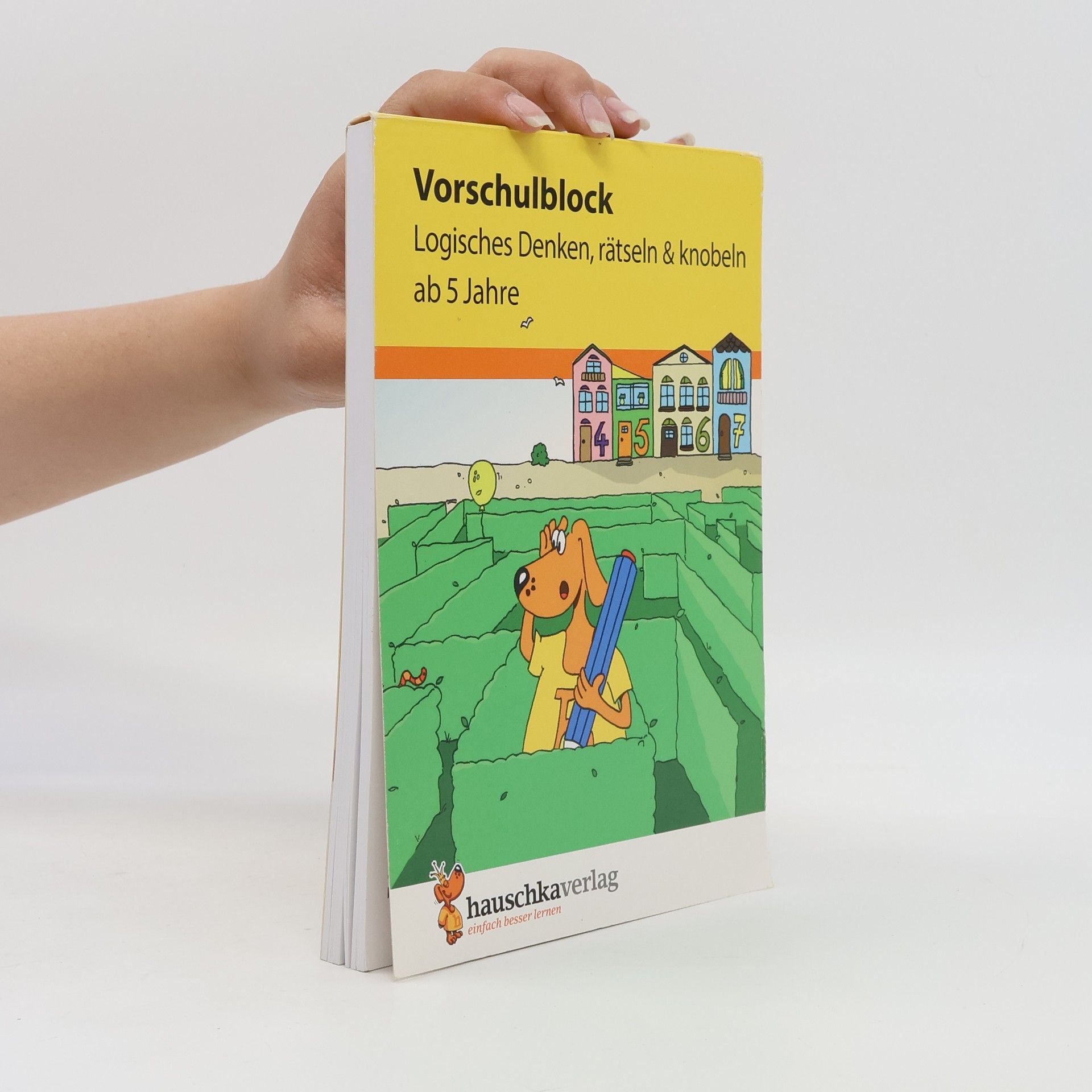Sabine Dengl Vorschulblock - Logisches Denken, Rätseln & Knobeln ab 5 Jahre