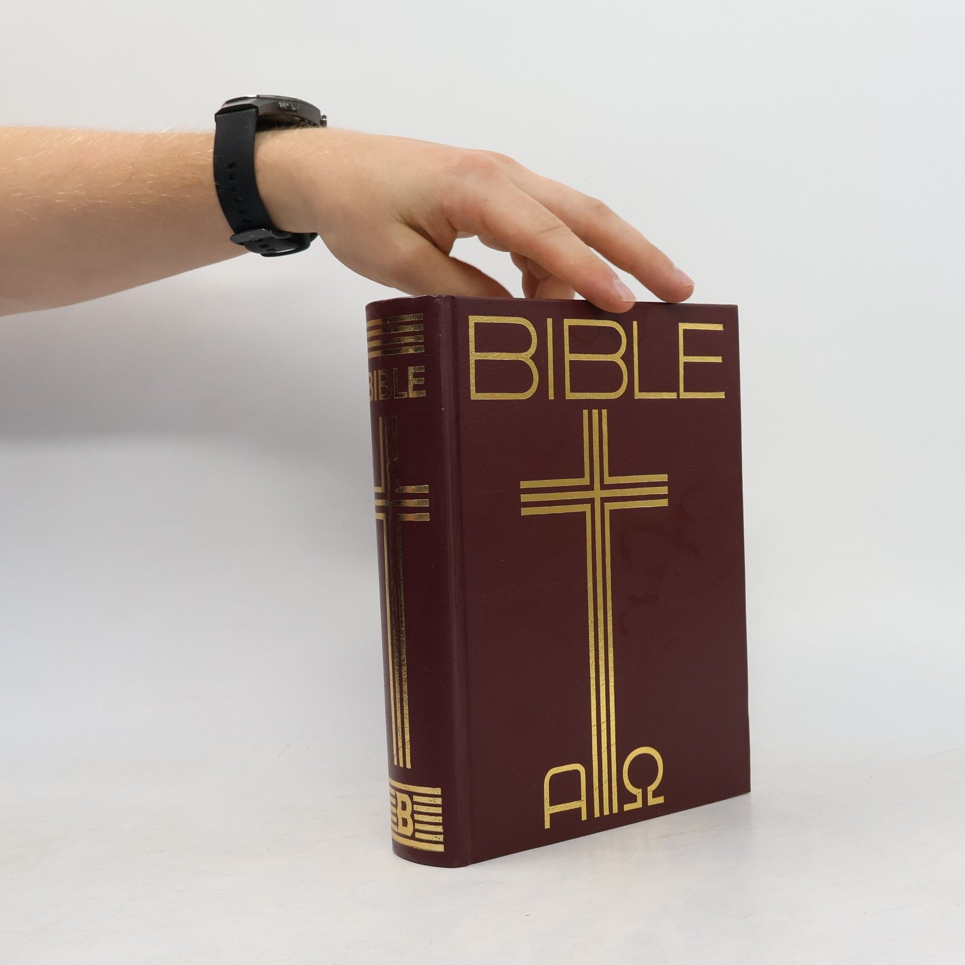 Kolektiv autorů Bible: Písmo svaté Starého a Nového zákona