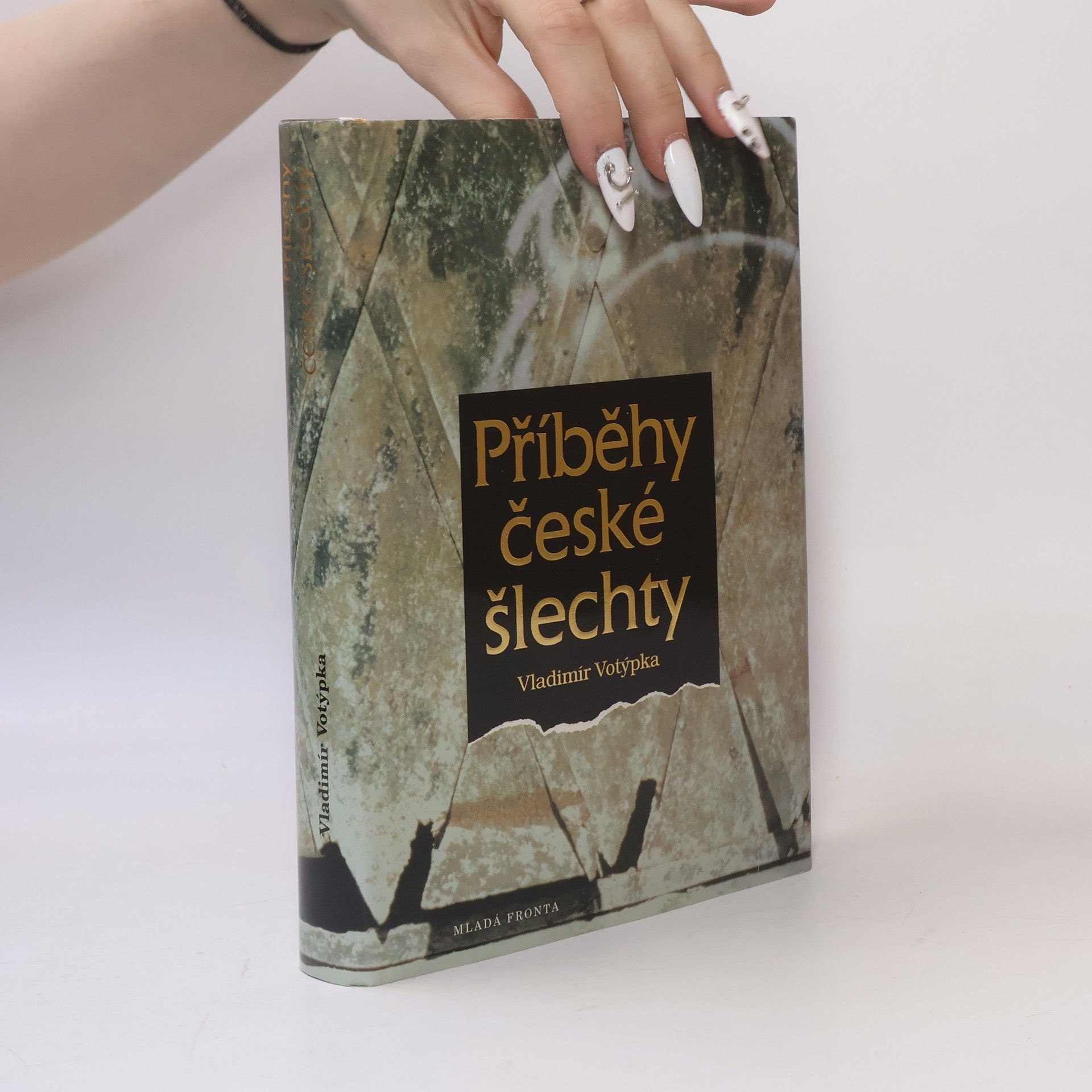 Vladimír Votýpka Příběhy české šlechty