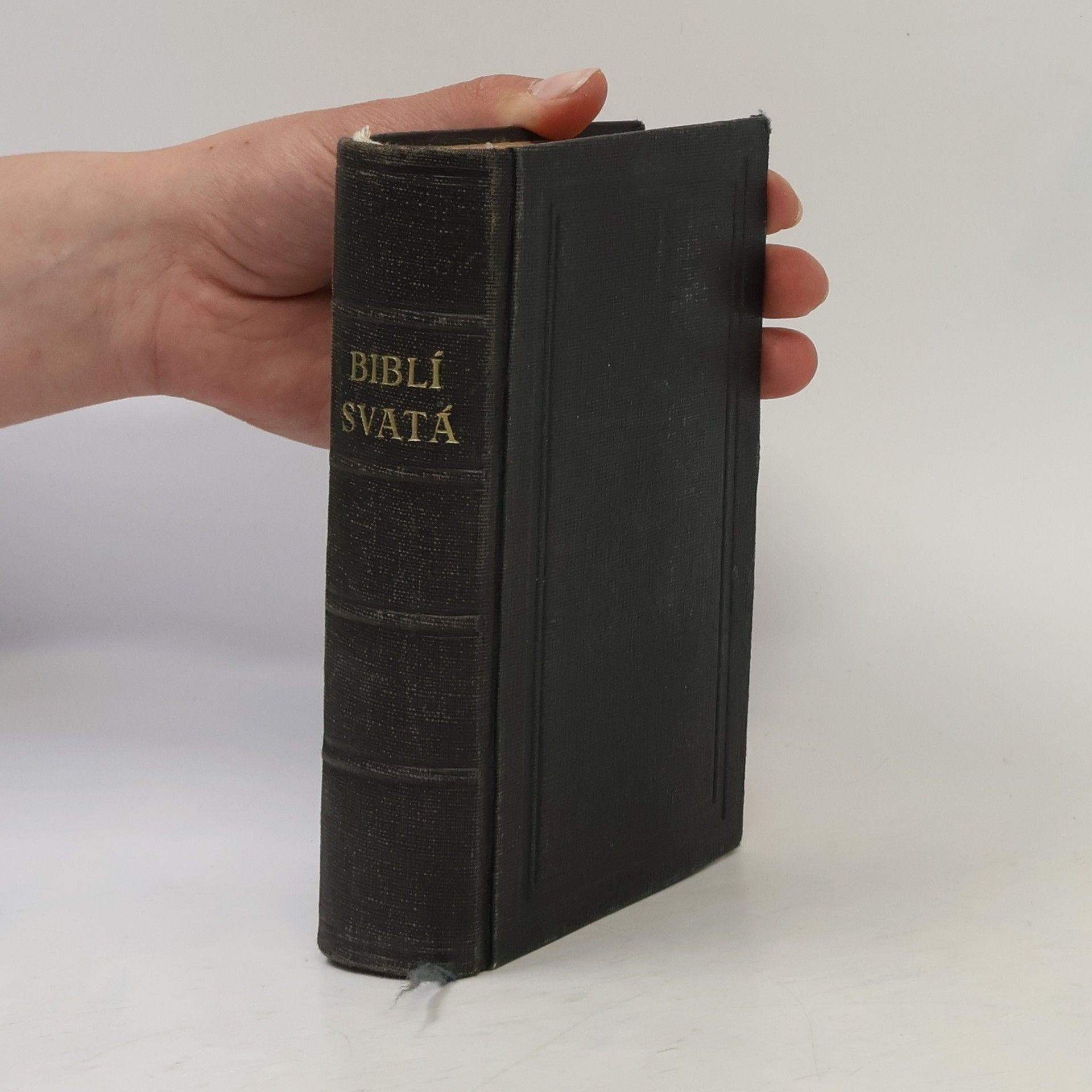 Autorenkollektiv Biblí svatá aneb Všecka svatá písma Starého i Nového zákona