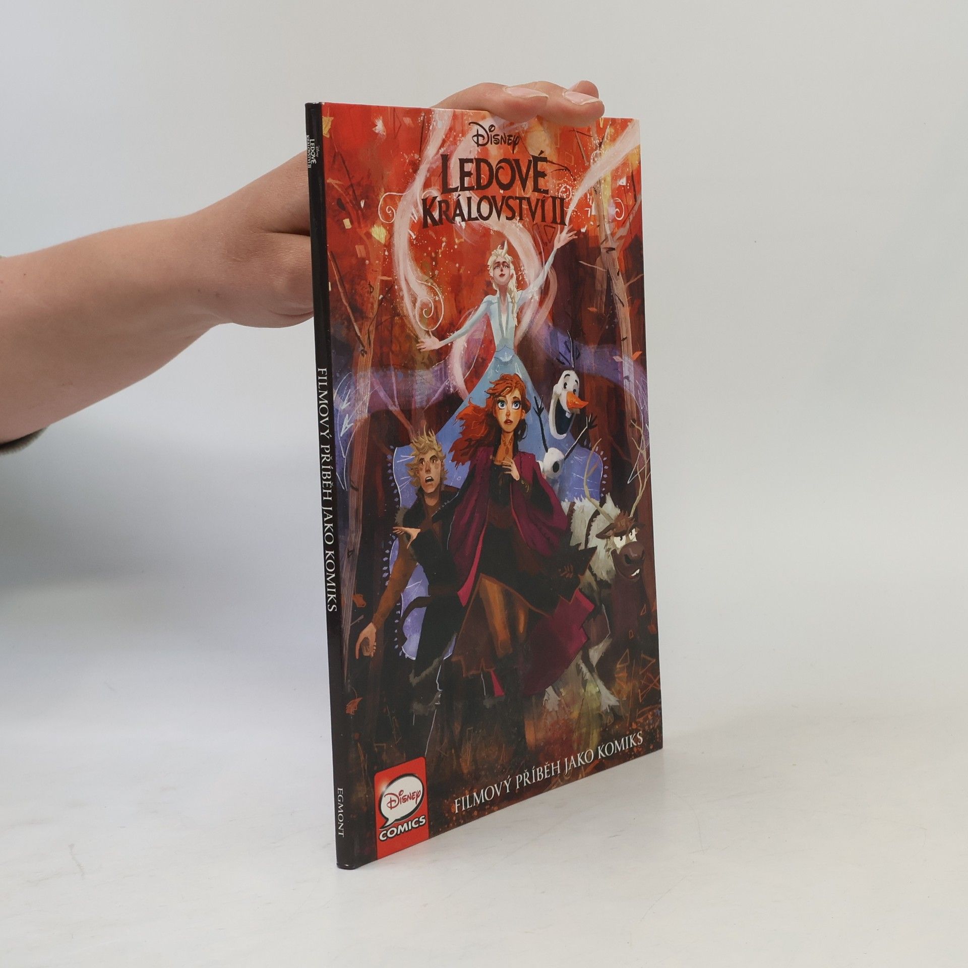 Kolektiv autorů Ledové království II