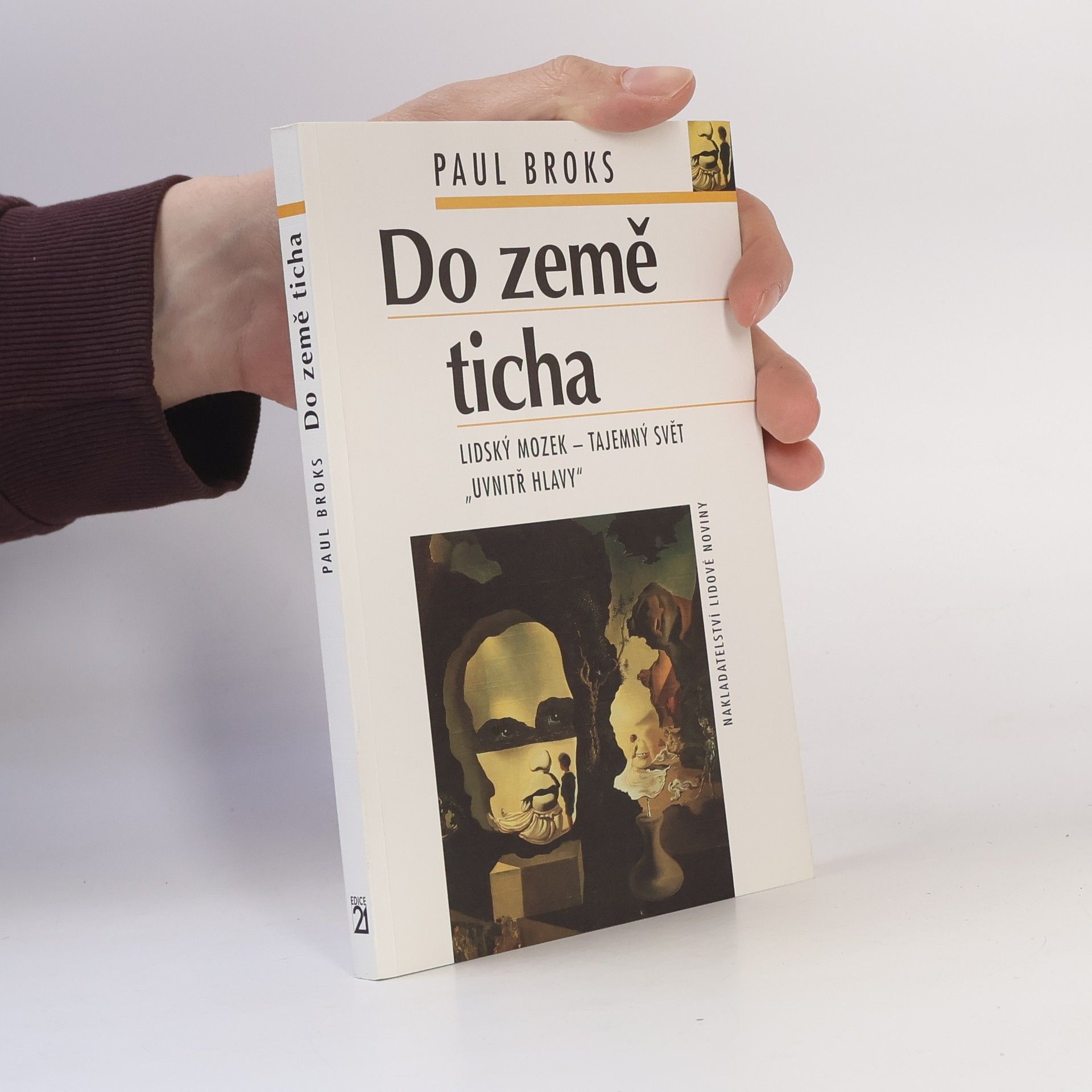 Paul Broks Do země ticha: Lidský mozek - tajemný svět "uvnitř hlavy"