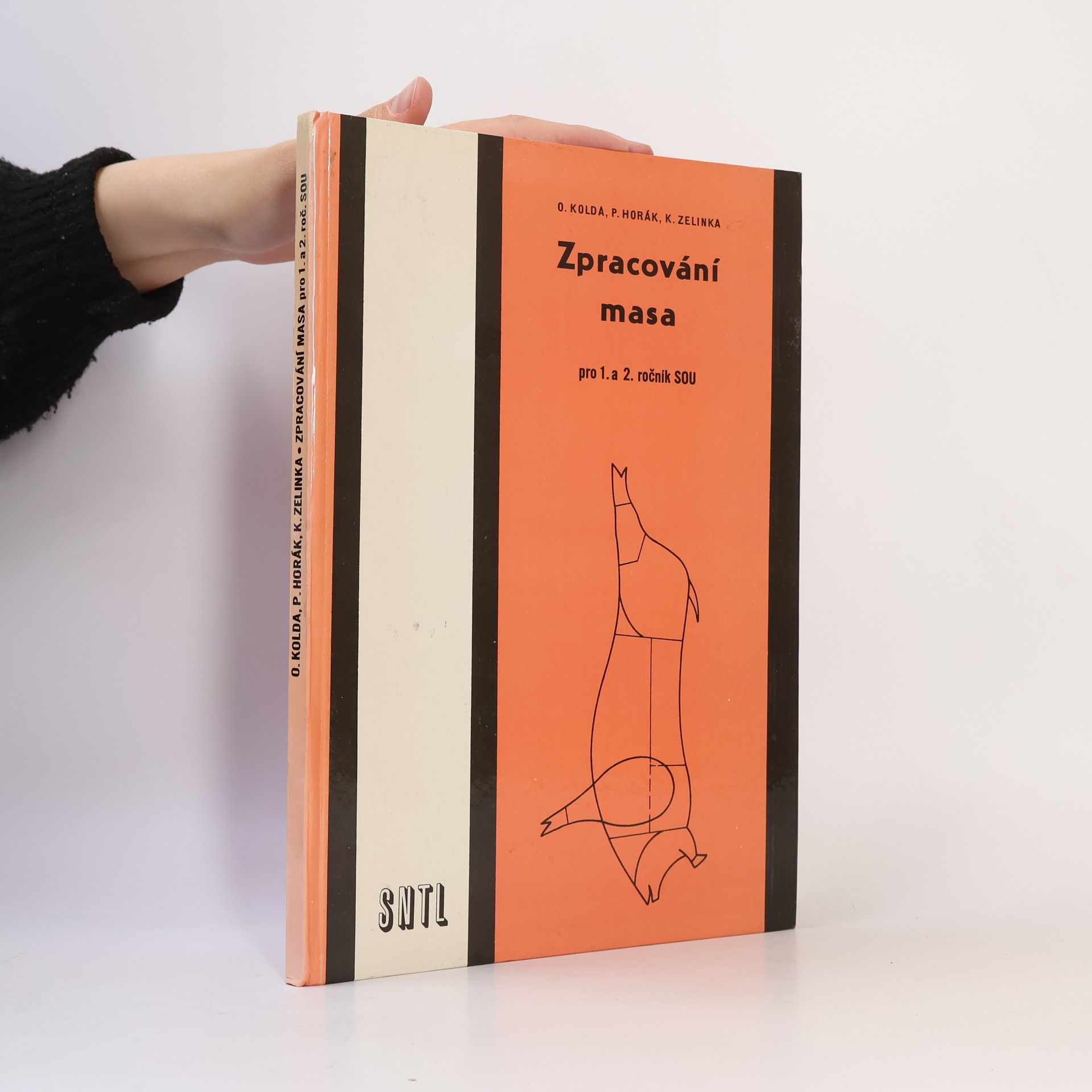 Autorenkollektiv Zpracování masa