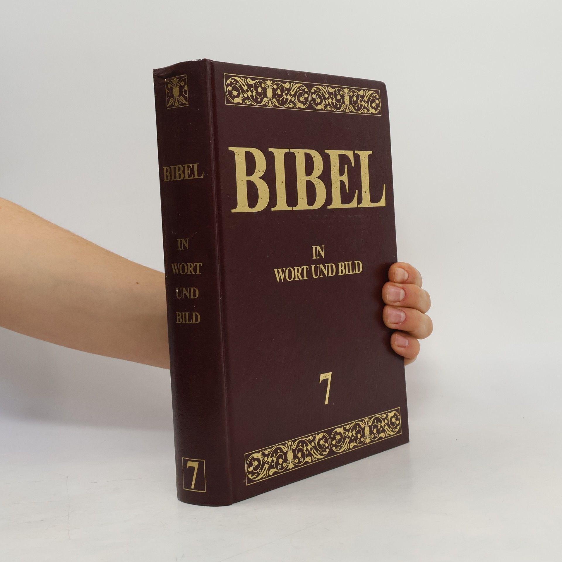 Auteurscollectief Bibel in Wort und Bild 7