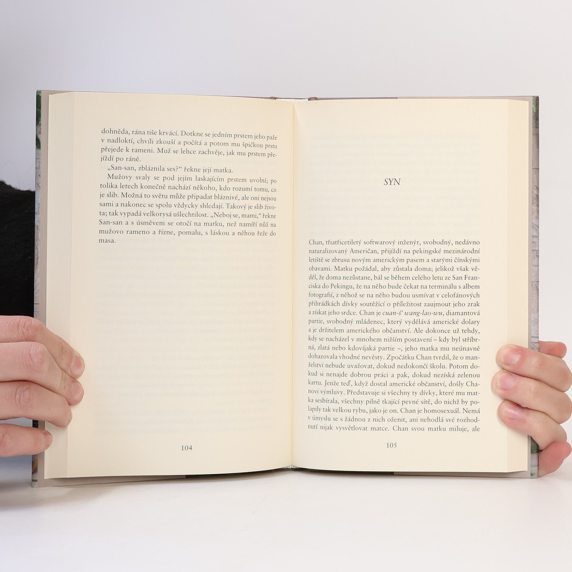 Yiyun Li Tisíc let vroucích modliteb