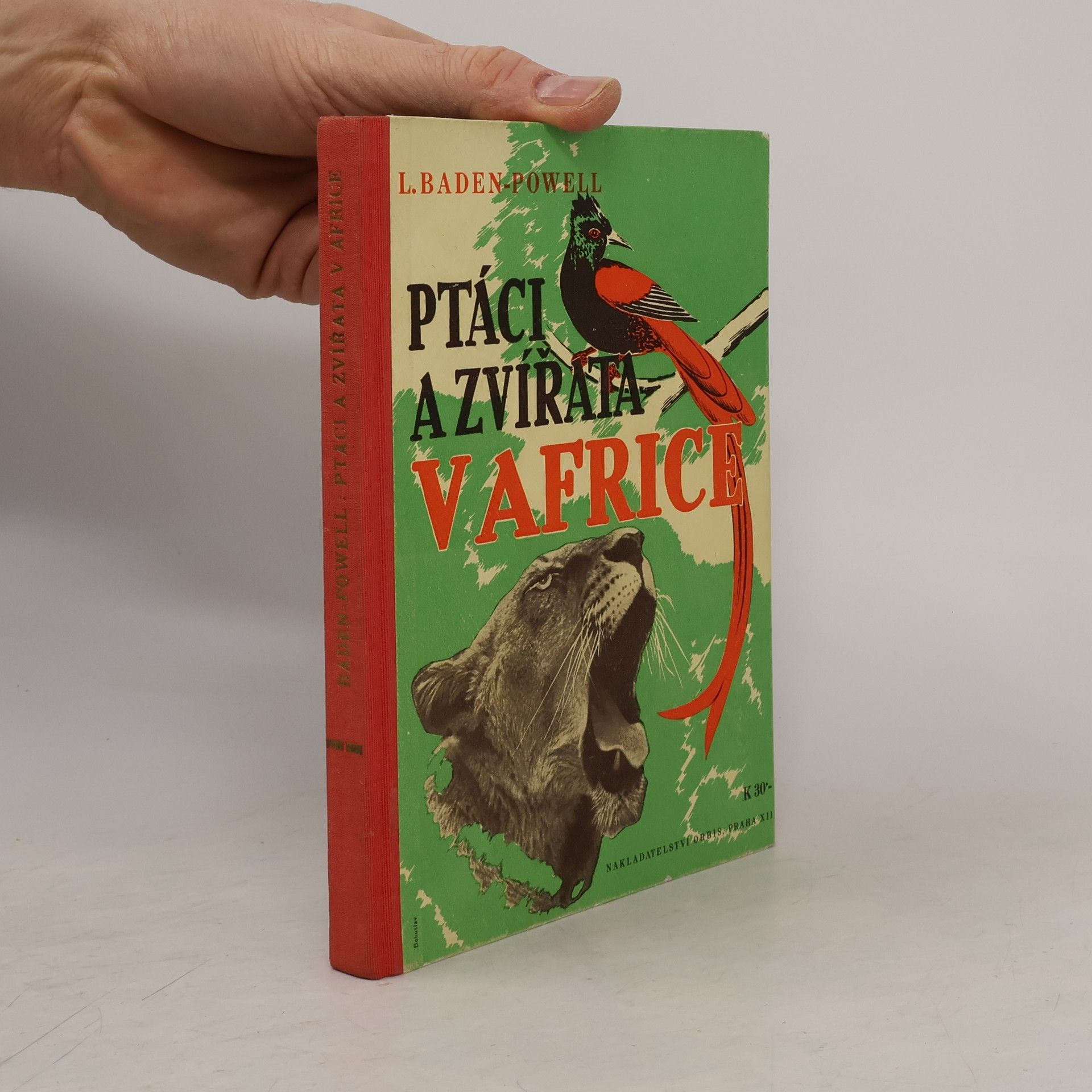 Baden Henry Baden-Powell Ptáci a zvířata v Africe