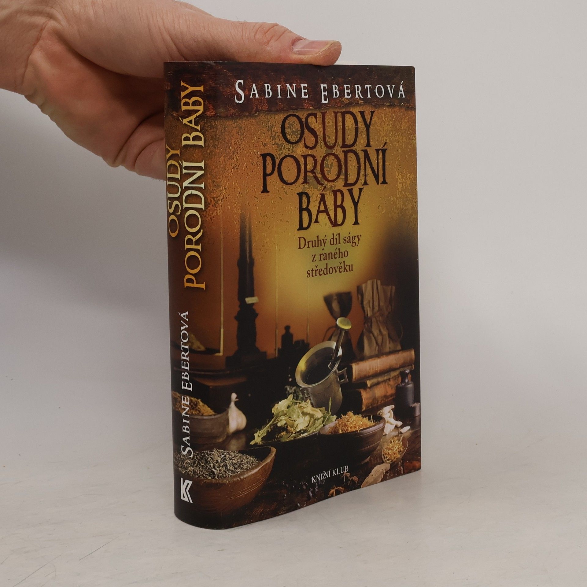 Sabine Ebert Osudy porodní báby