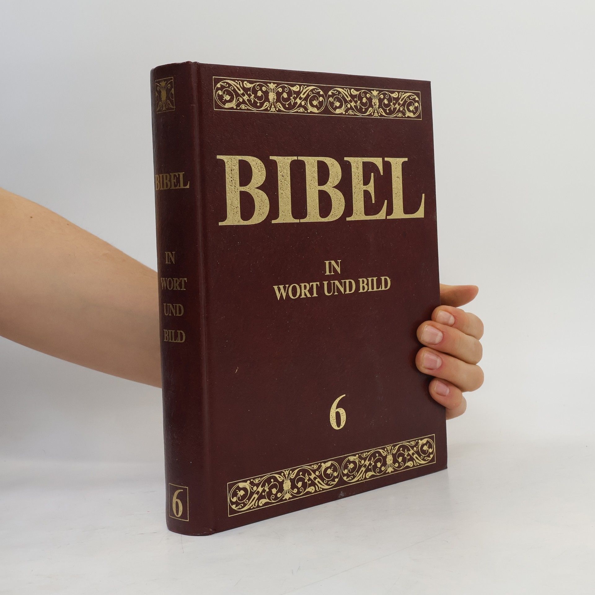 Kolektiv autorů Bibel in Wort und Bild 6