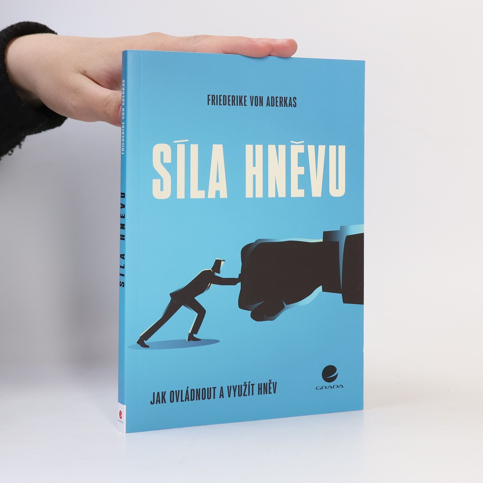 Sylvia Gredig Síla hněvu : jak ovládnout a využít hněv