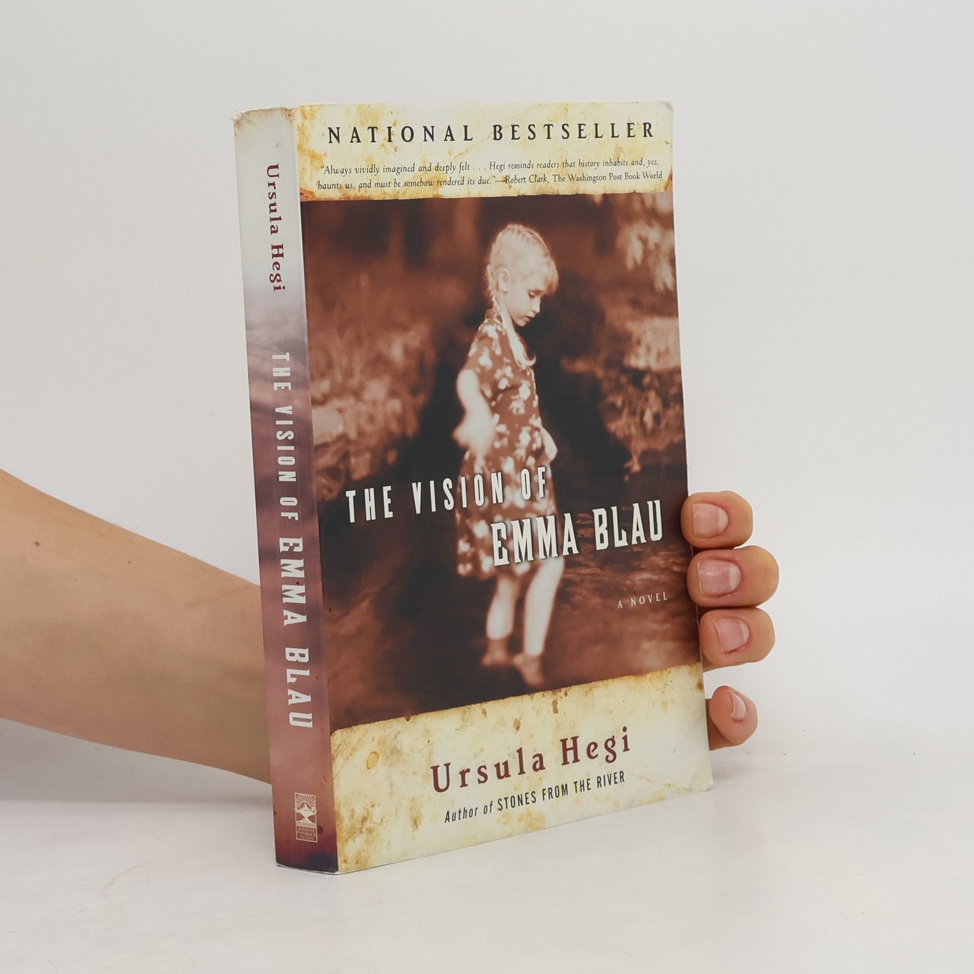 Ursula Hegi The Vision of Emma Blau