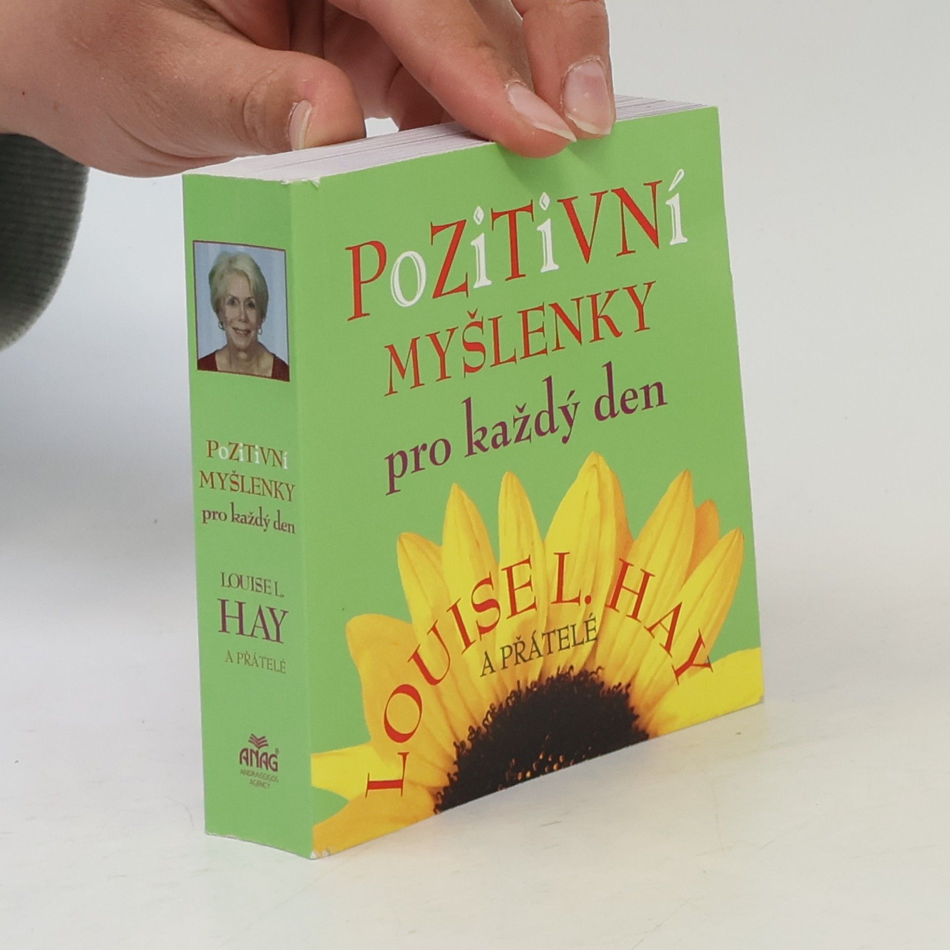 Louise Lynn Hay Pozitivní myšlenky pro každý den