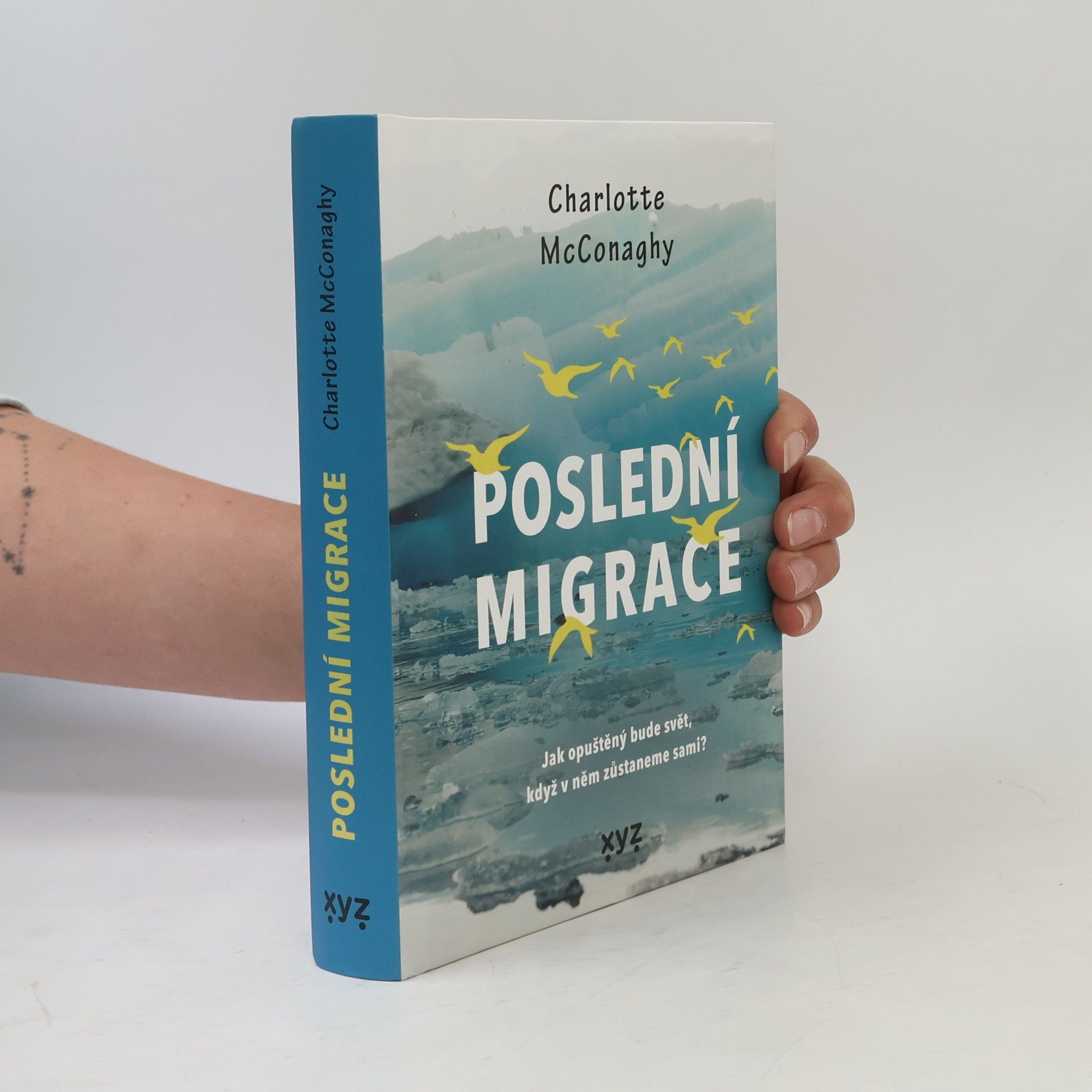 CHARLOTTE. MCCONAGHY Poslední migrace