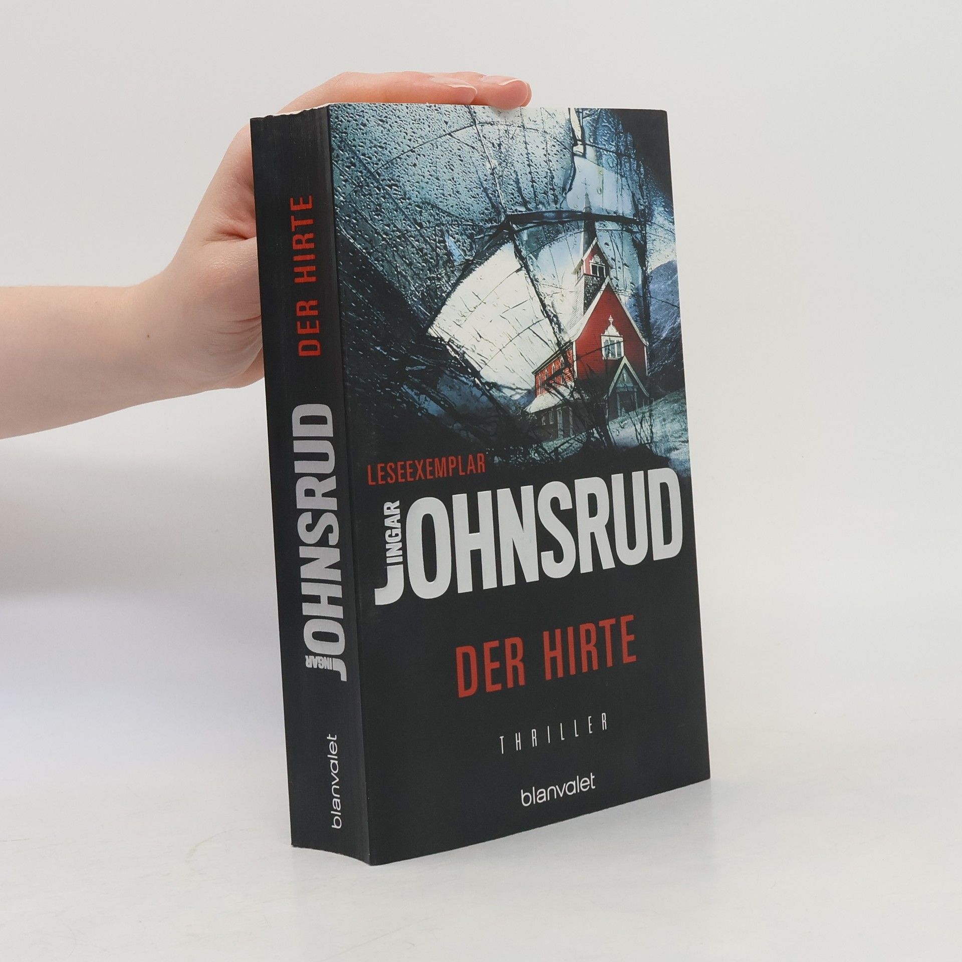 Ingar Johnsrud Der Hirte