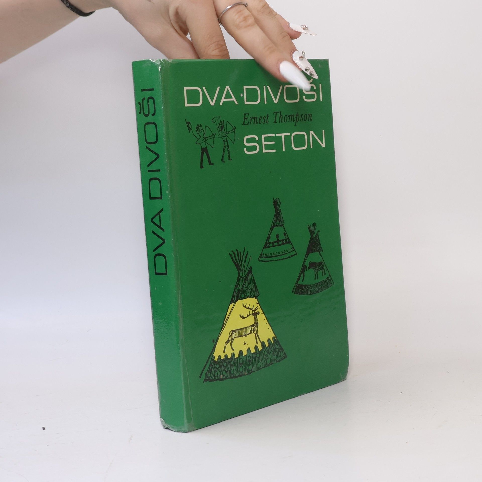 Dva divoši