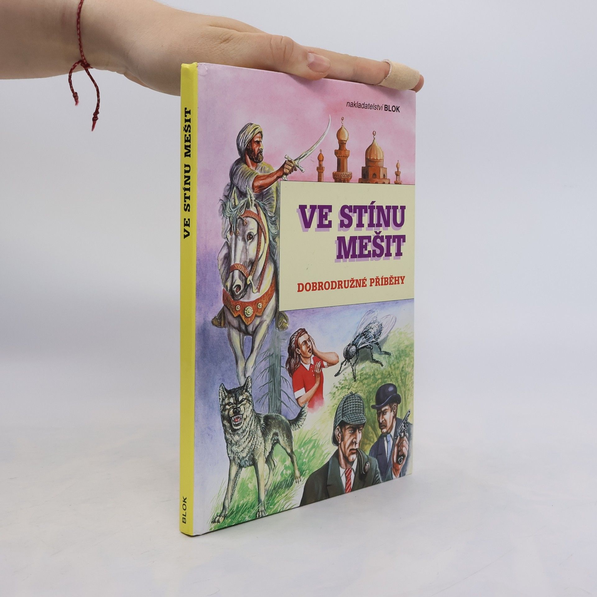 Jan Odehnal Ve stínu mešit