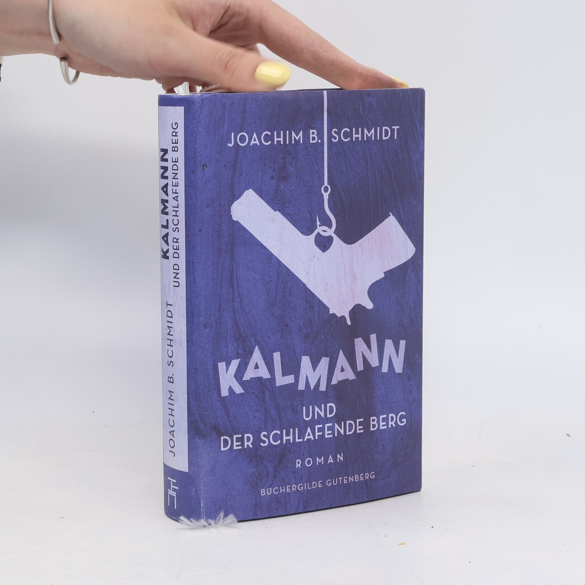 Joachim B. Schmidt Kalmann und der schlafende Berg