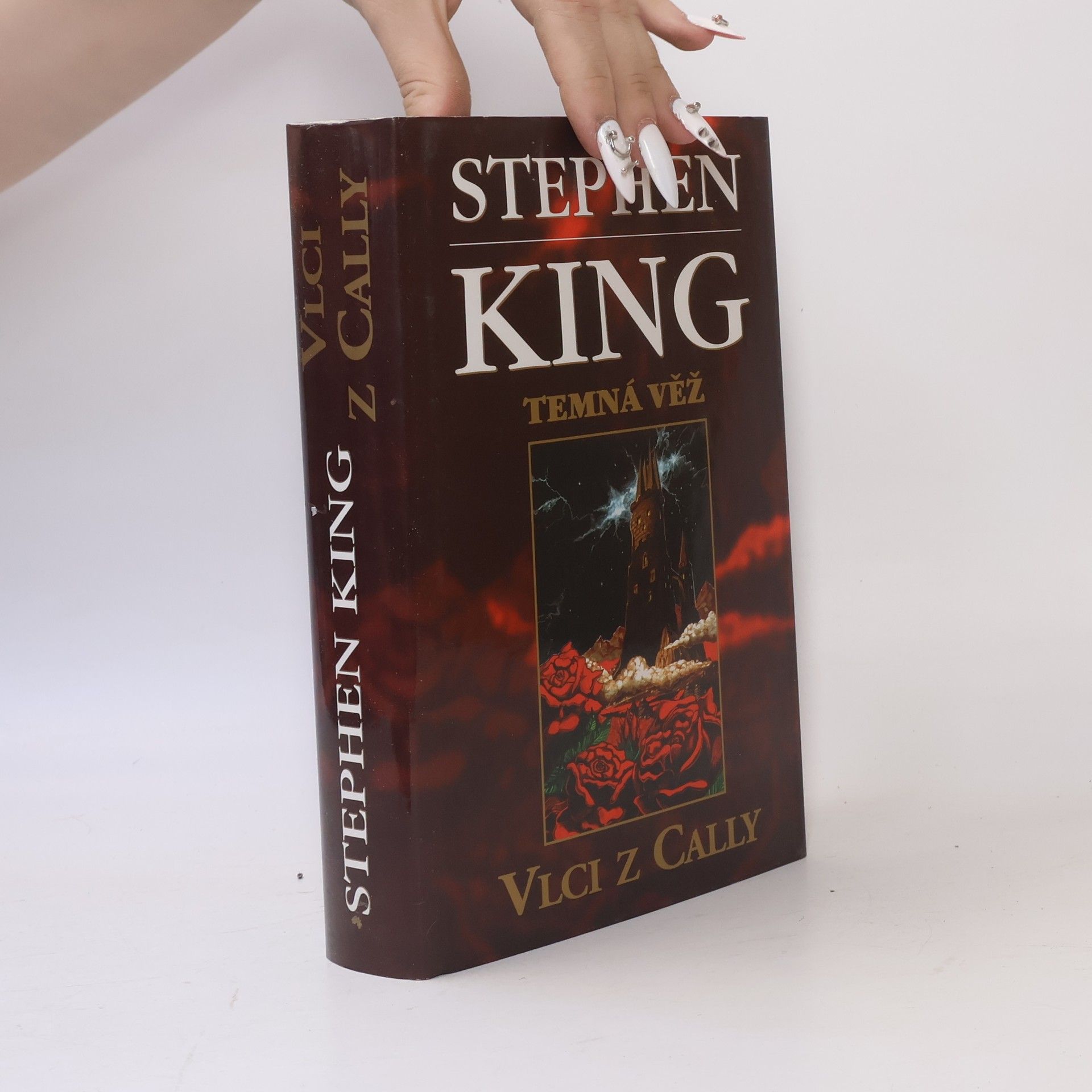 Stephen King Temná věž: Vlci z Cally