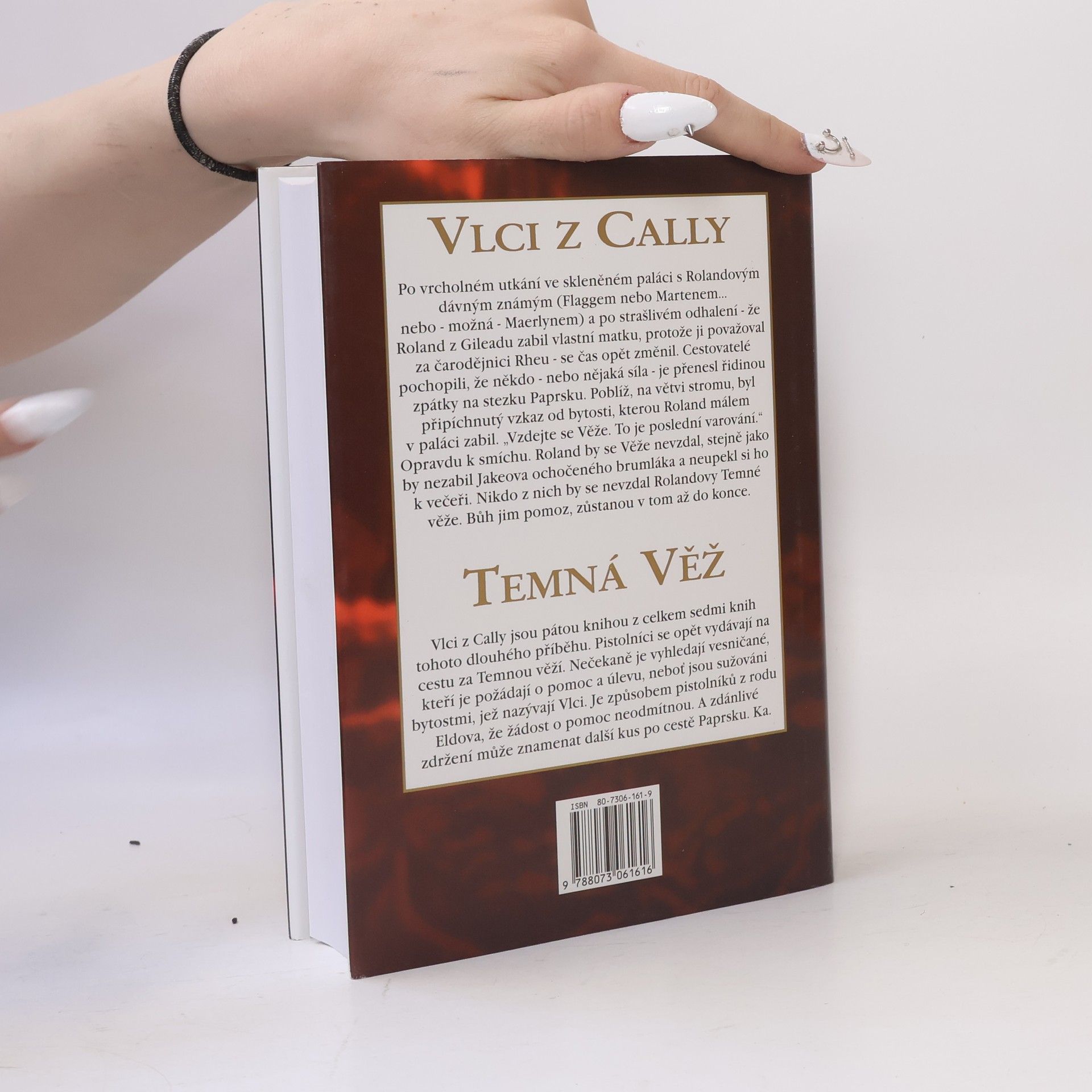 Stephen King Temná věž: Vlci z Cally