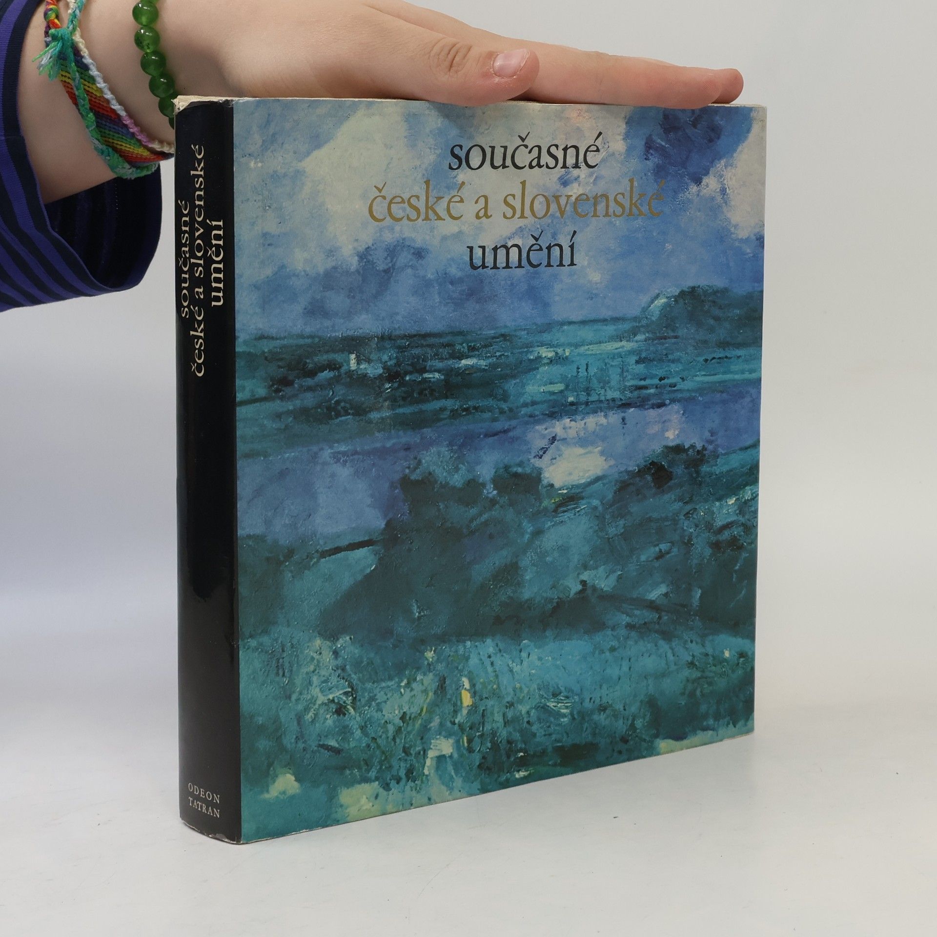 Auteurscollectief Současné české a slovenské umění