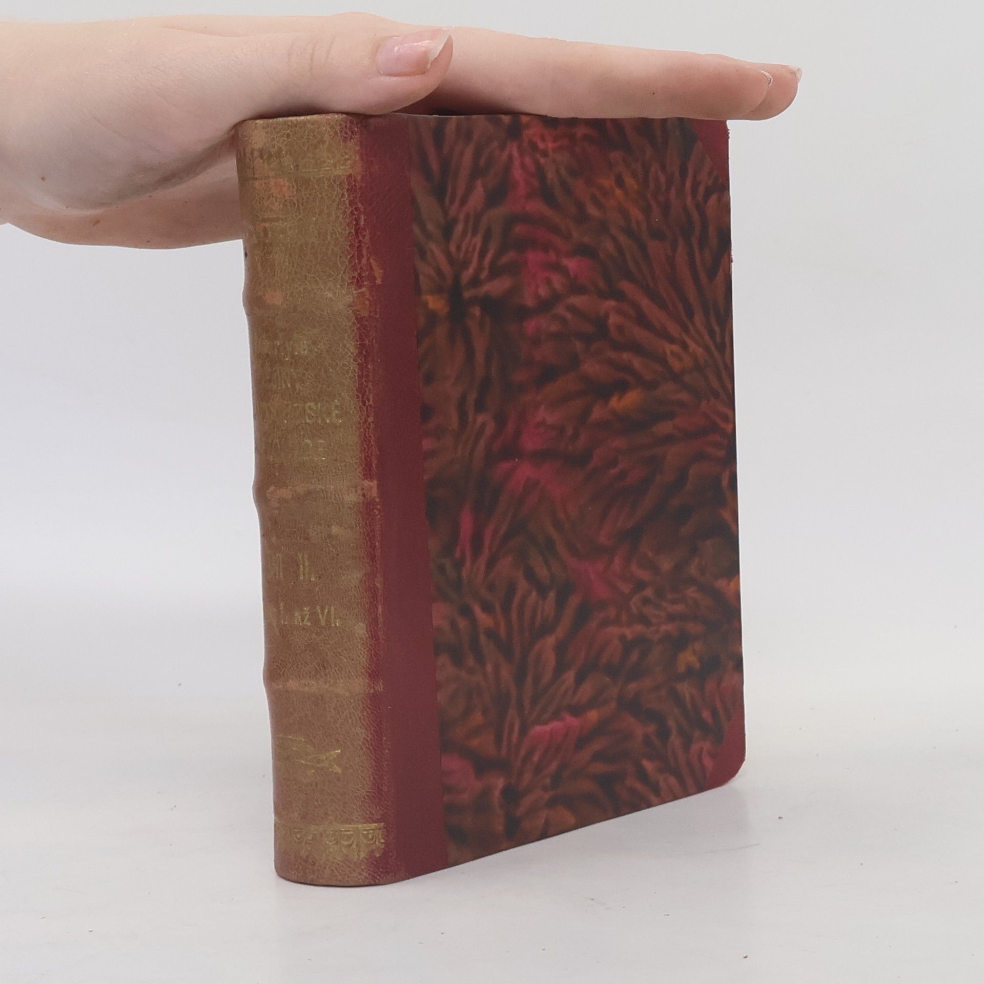 Thomas Carlyle Dějiny francouzské revoluce. Díl II