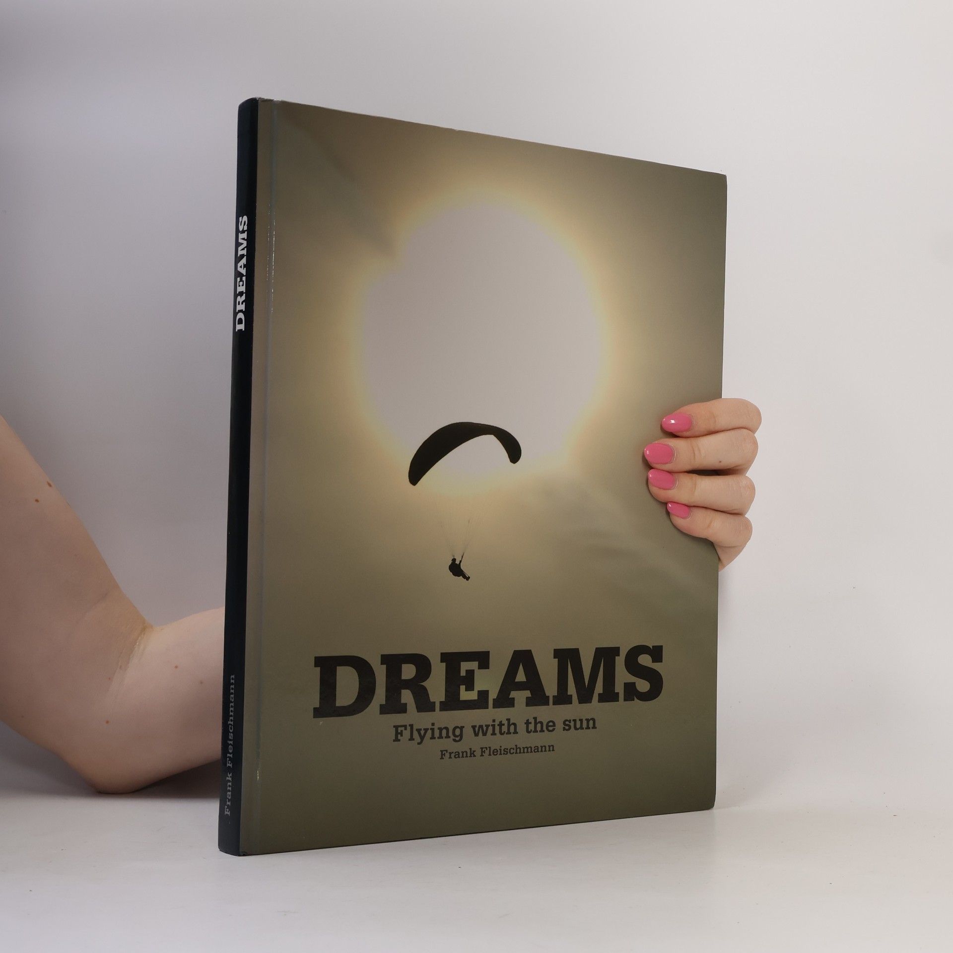 Frank Fleischmann Dreams flying with the sun