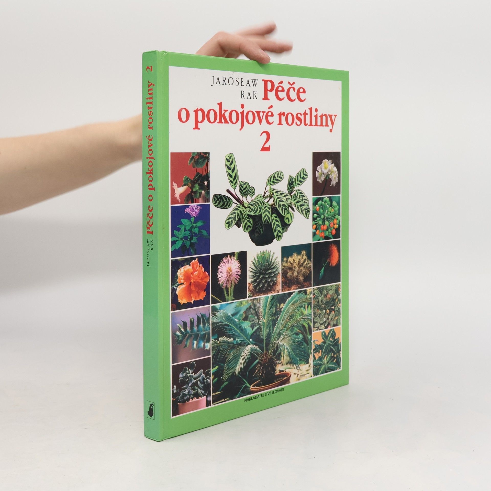 Jarosław Rak Péče o pokojové rostliny 2