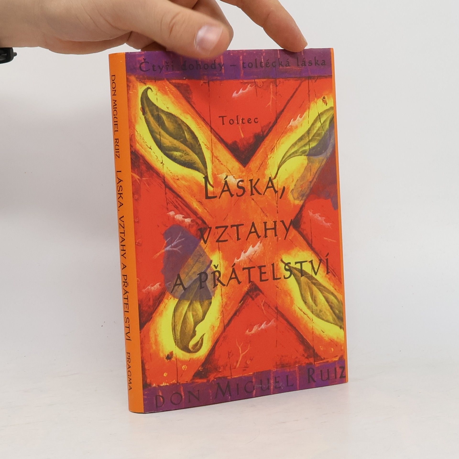 Don Miguel Ruiz Láska, vztahy a přátelství