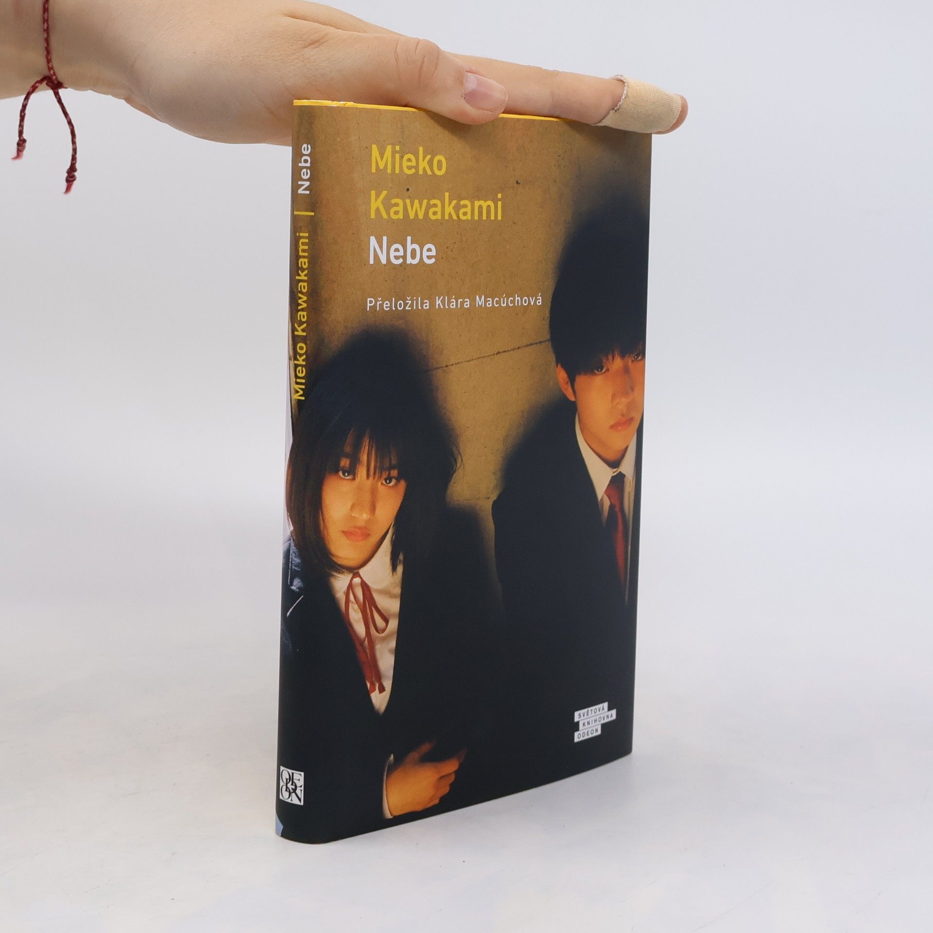 Mieko Kawakami Nebe
