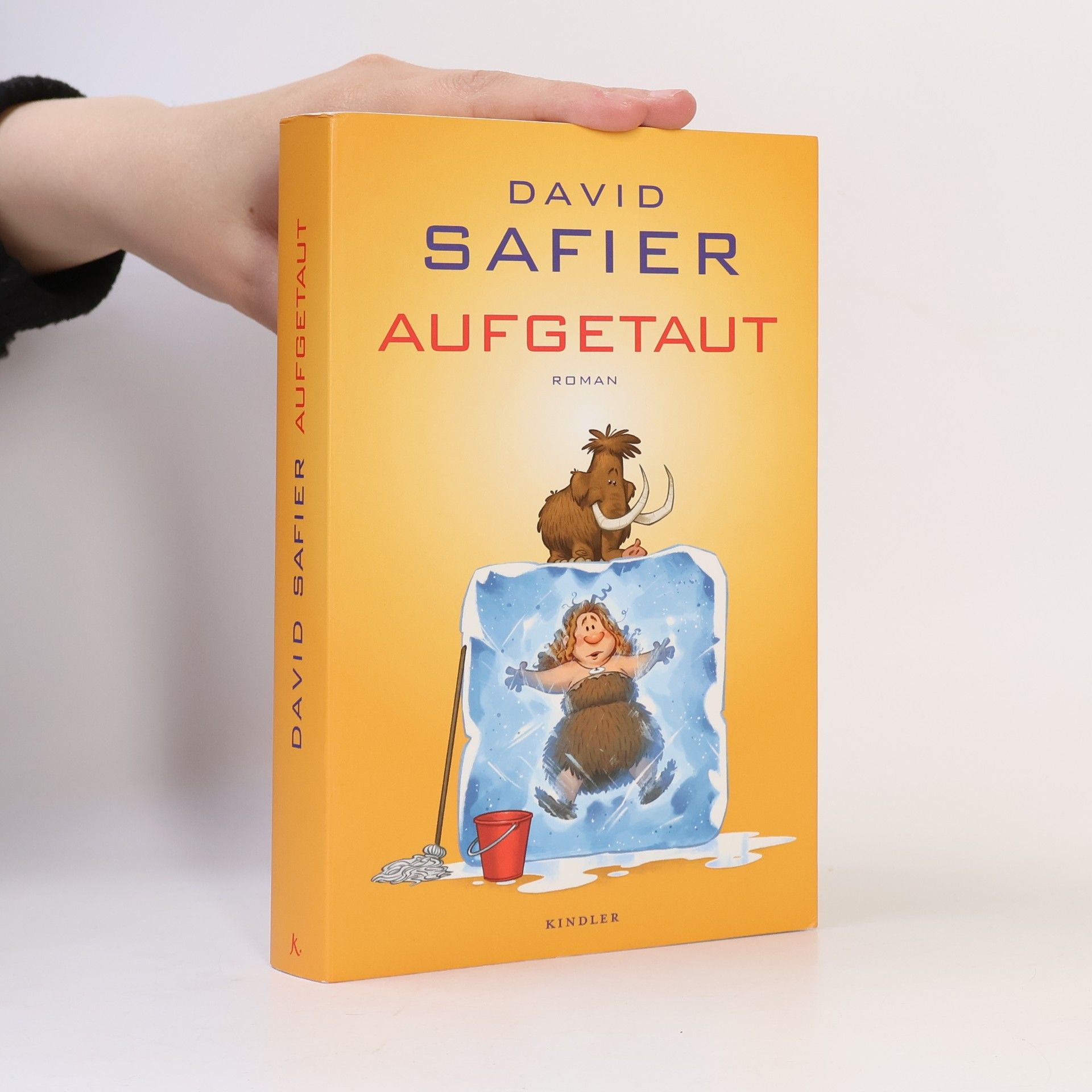 David Safier Aufgetaut