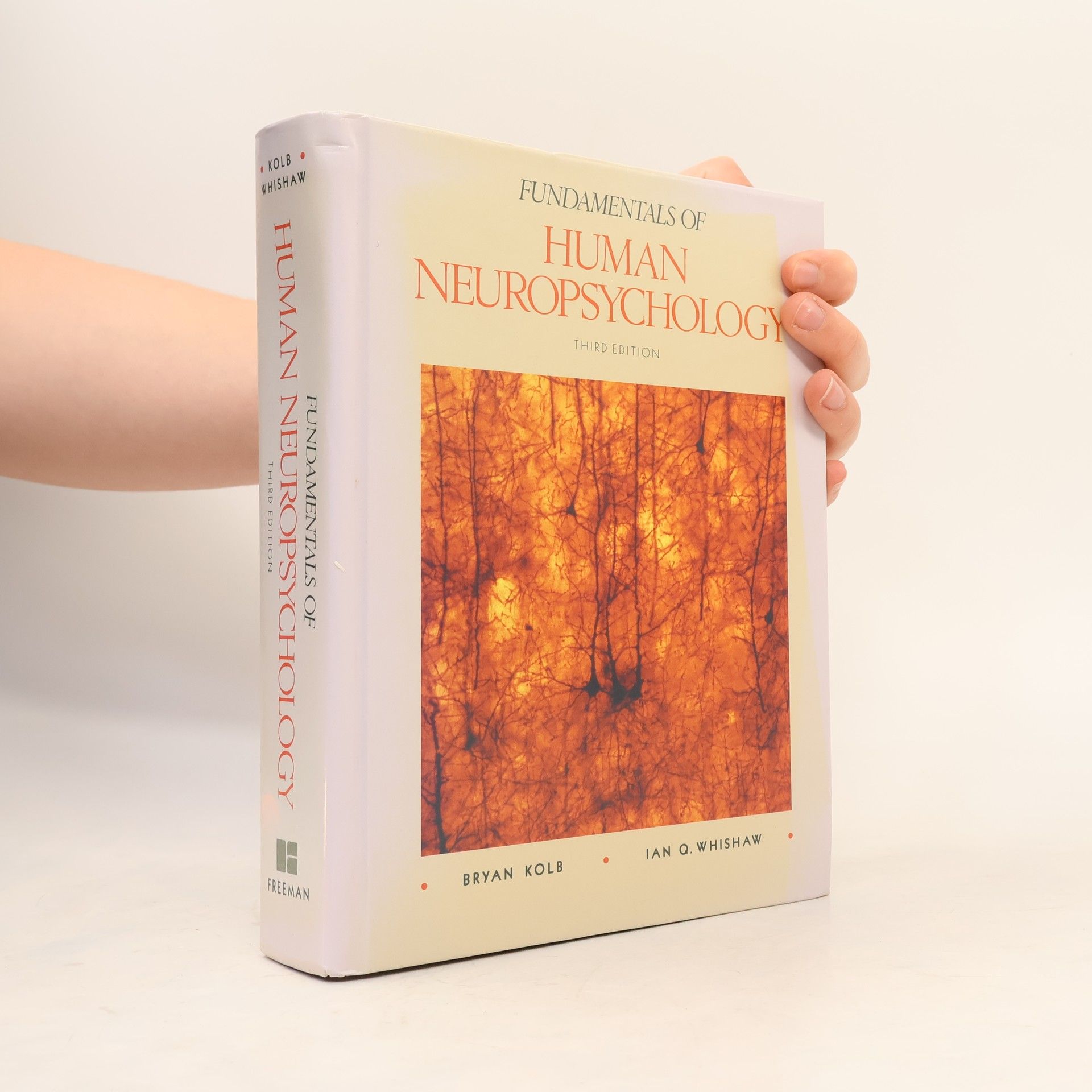 Bryan Kolb Fundamentals of Human Neuropsychology