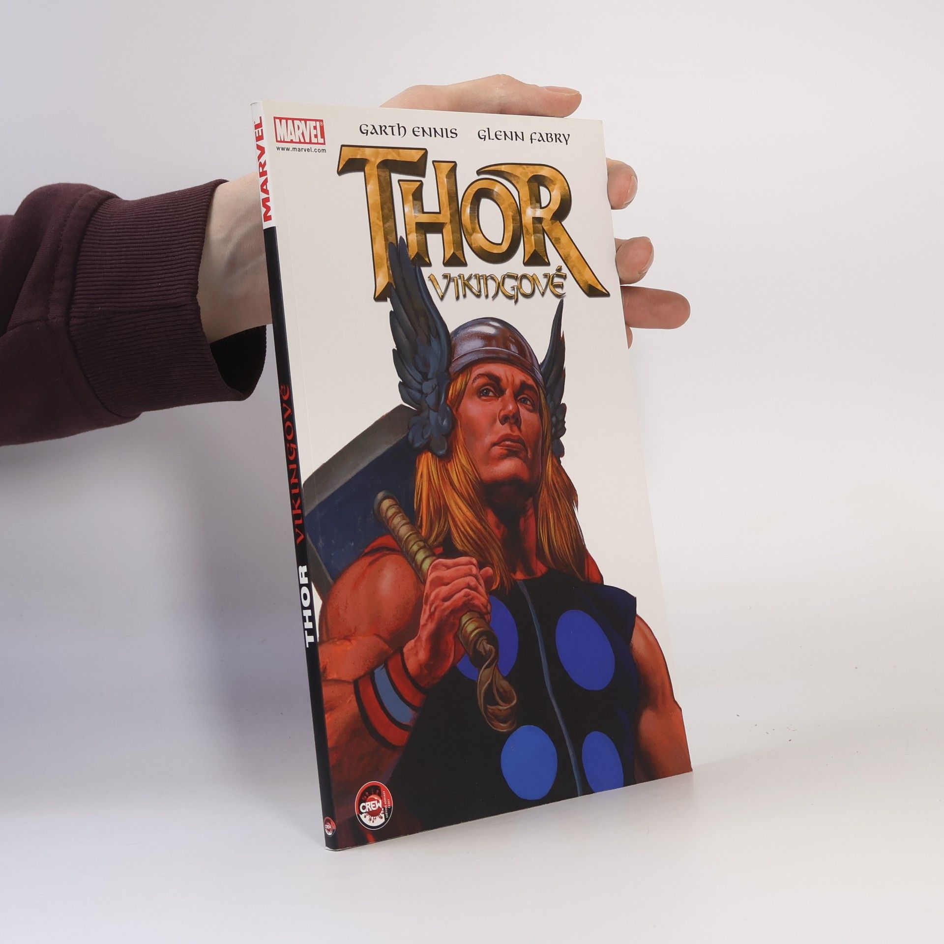 Glenn Fabry Thor. Vikingové