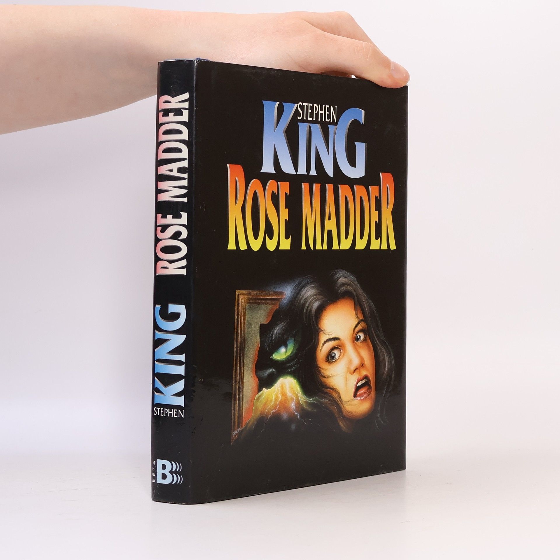 Stephen King Rose Madder