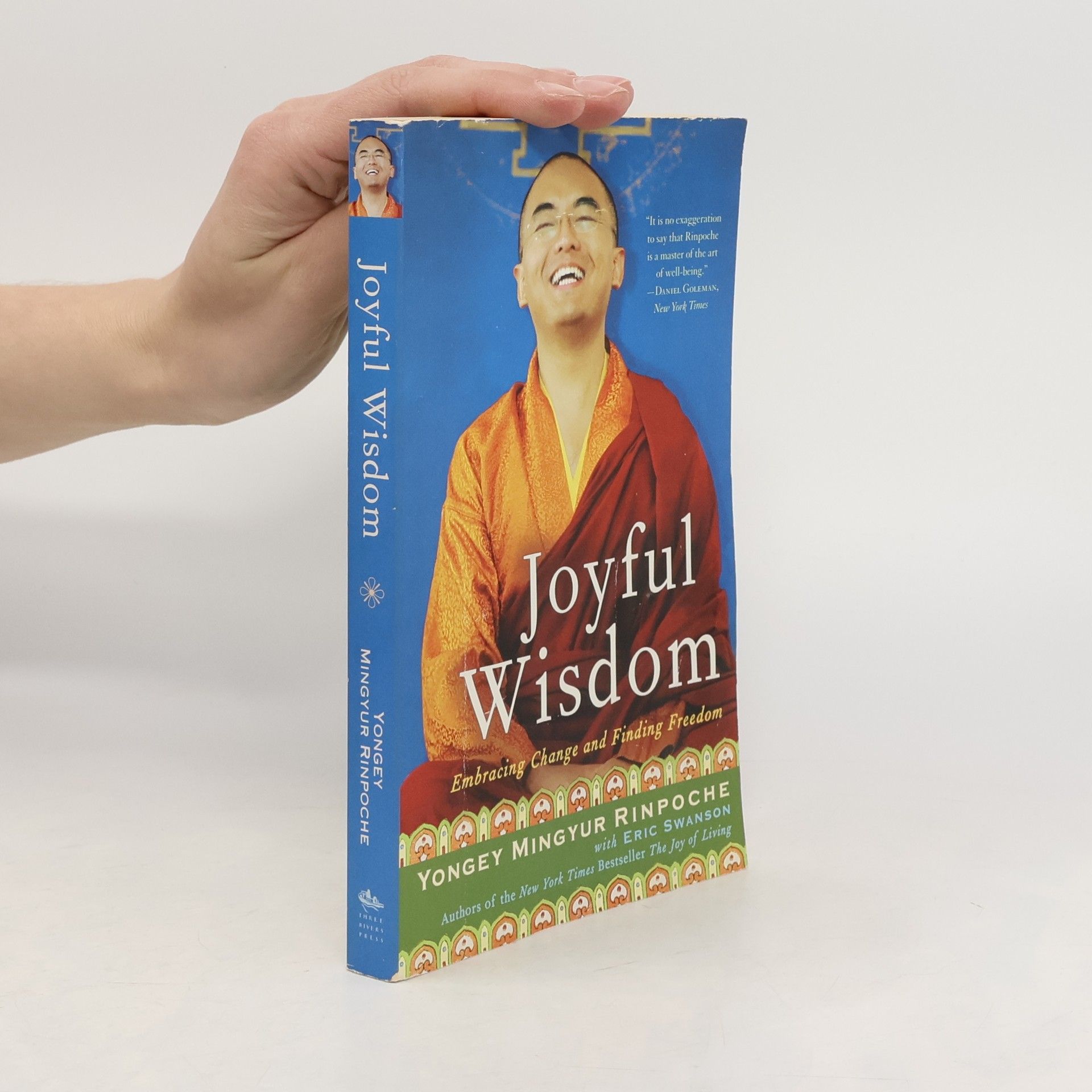 Rinpoche Yongey Mingyur Joyful Wisdom