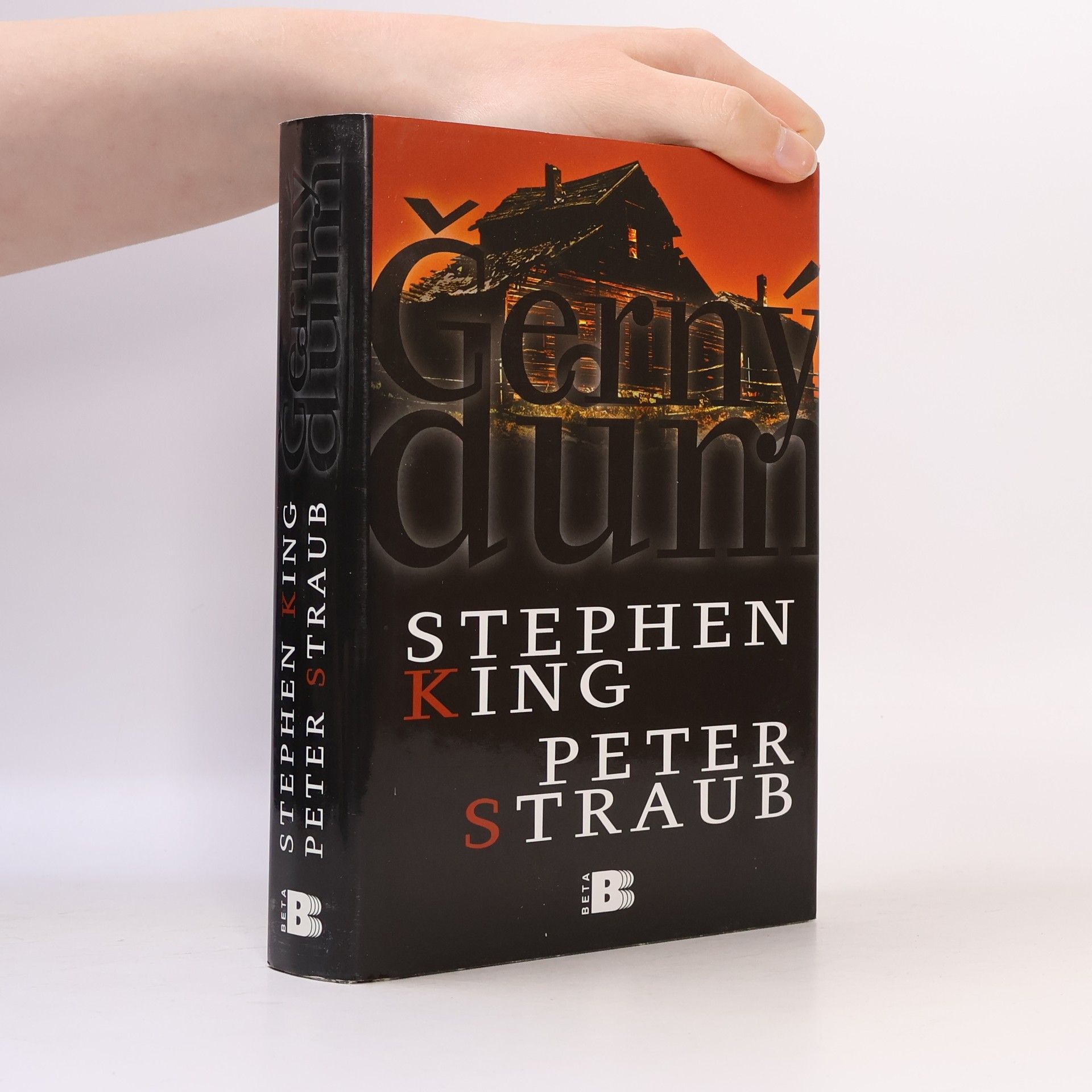 Stephen King Černý dům