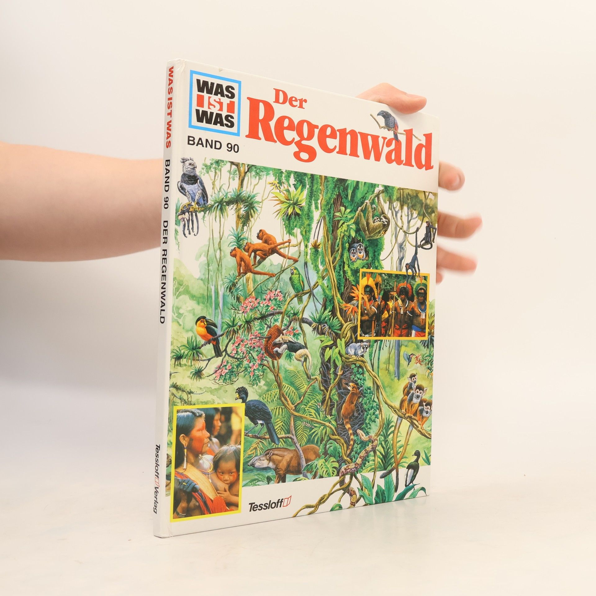 Andrea Mertiny Der Regenwald
