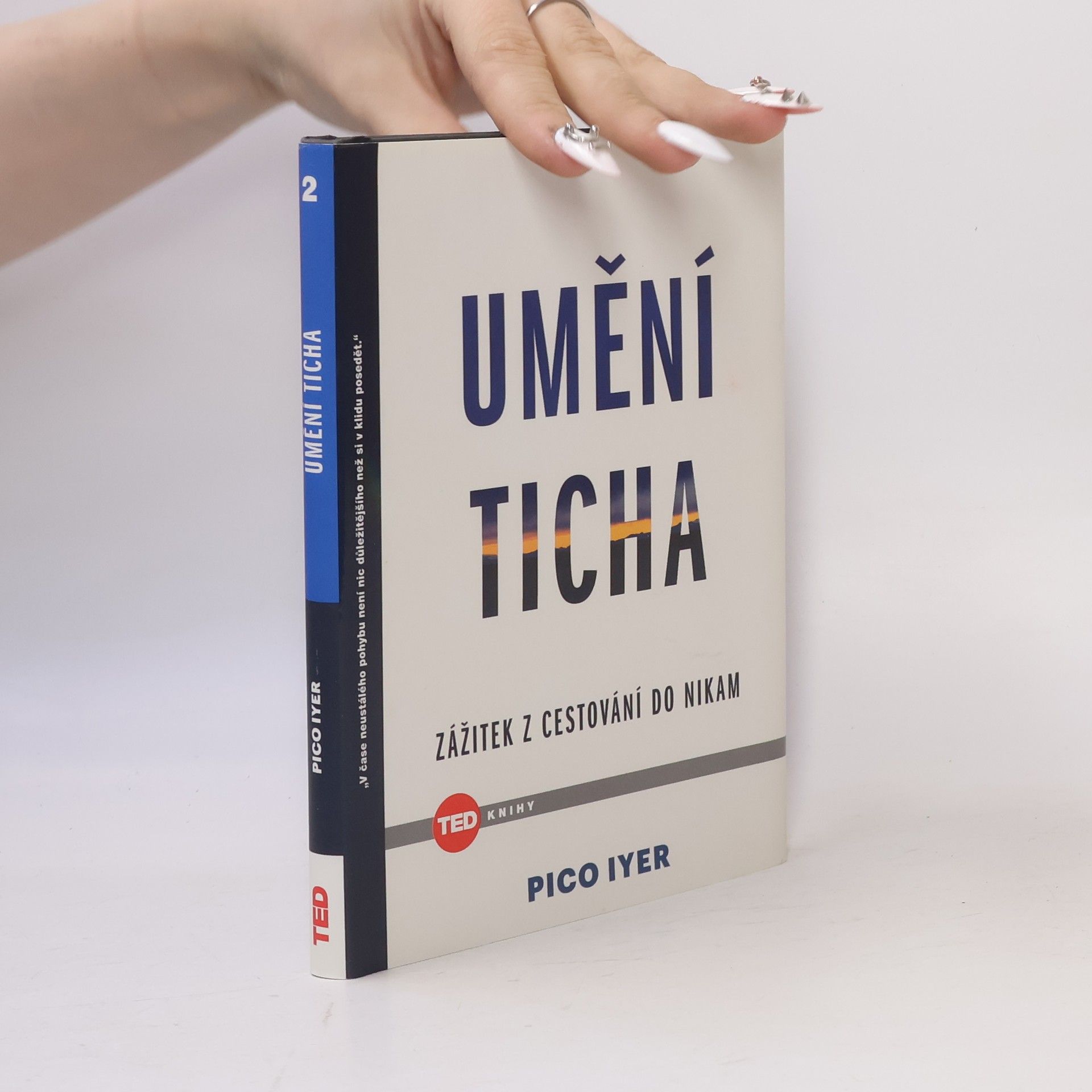 Pico Iyer Umění ticha. Zážitek z cestování do Nikam
