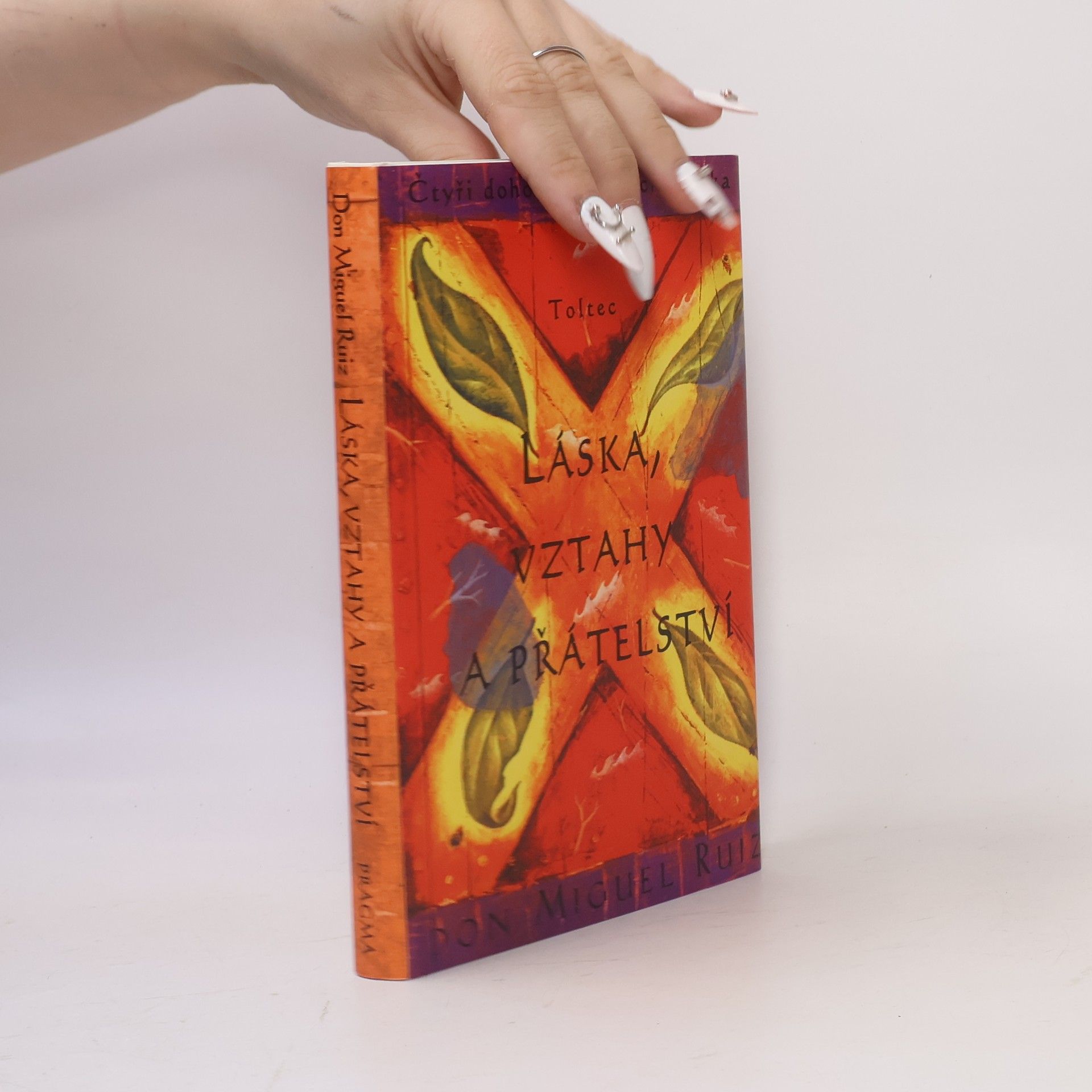 Don Miguel Ruiz Láska, vztahy a přátelství