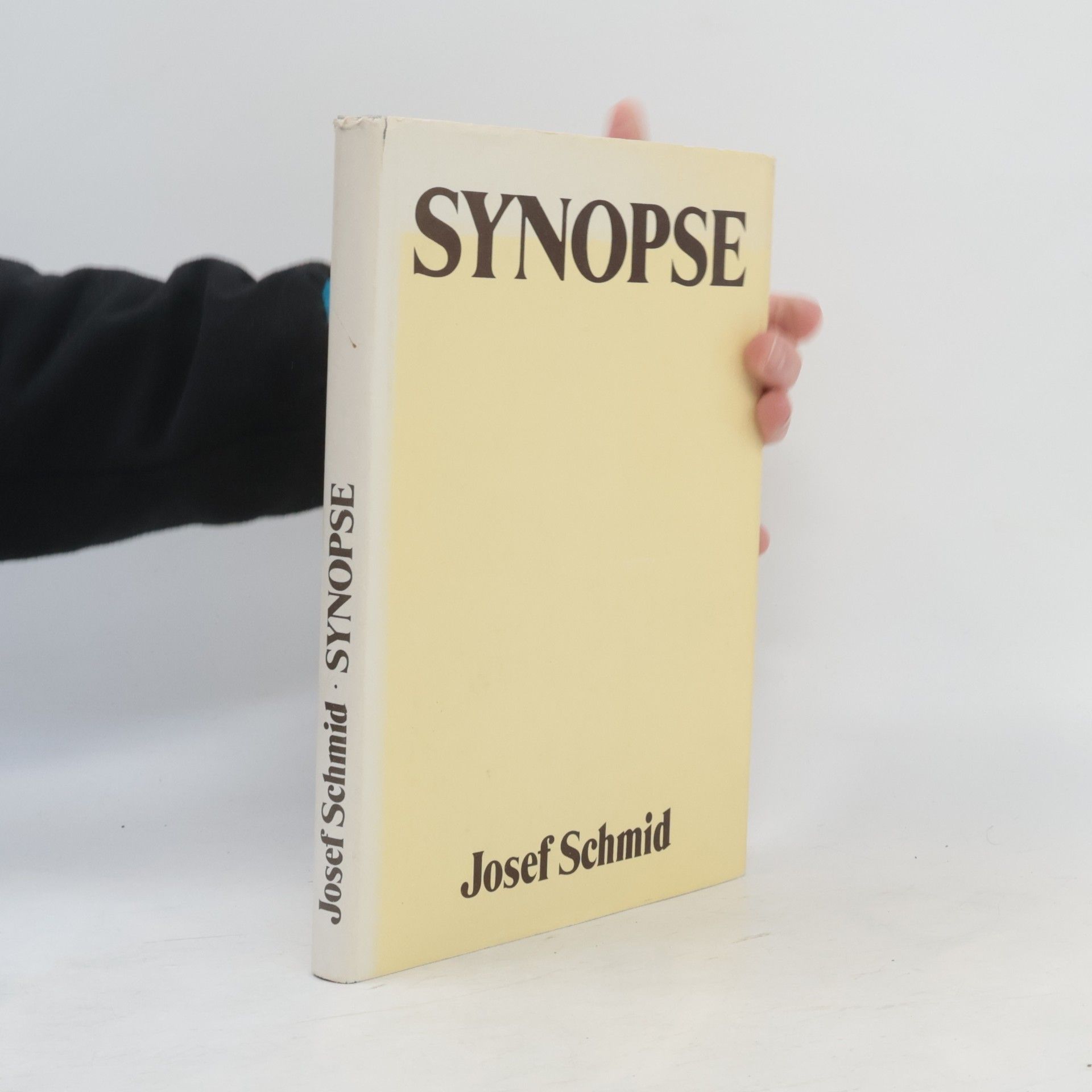 Joseph Schmid Synopse
