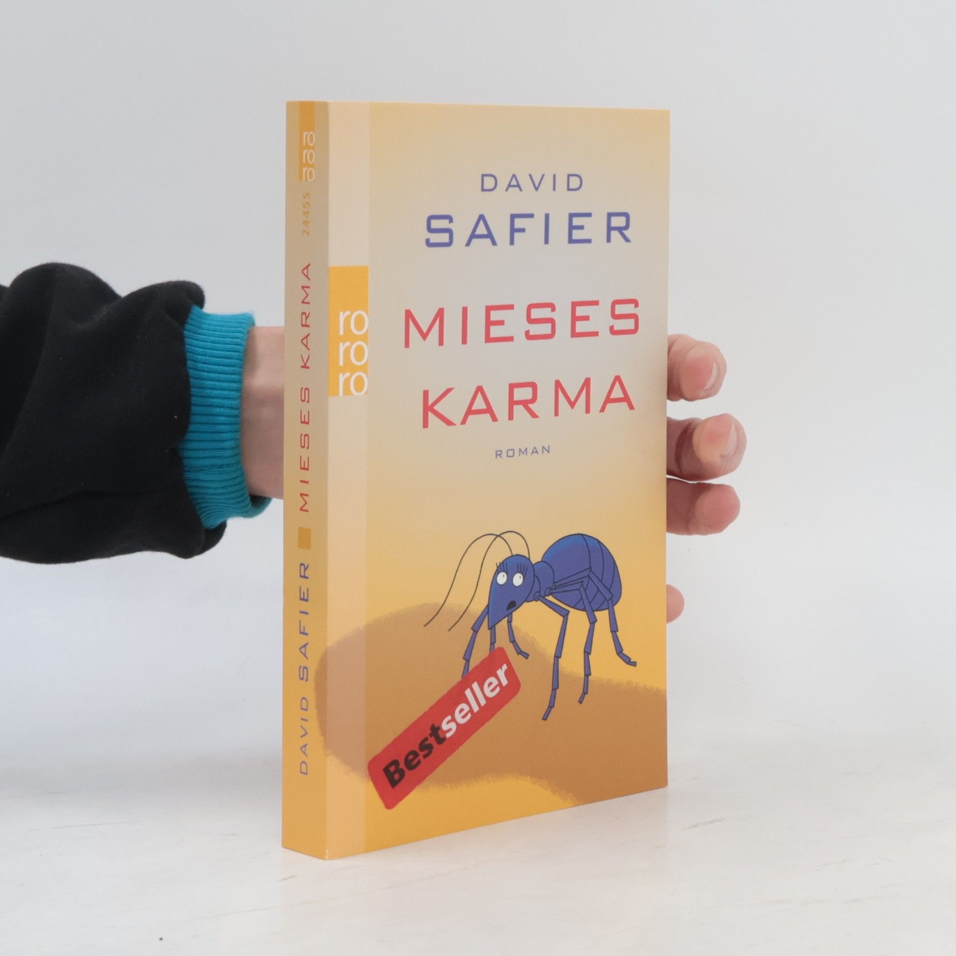 David Safier Mieses Karma