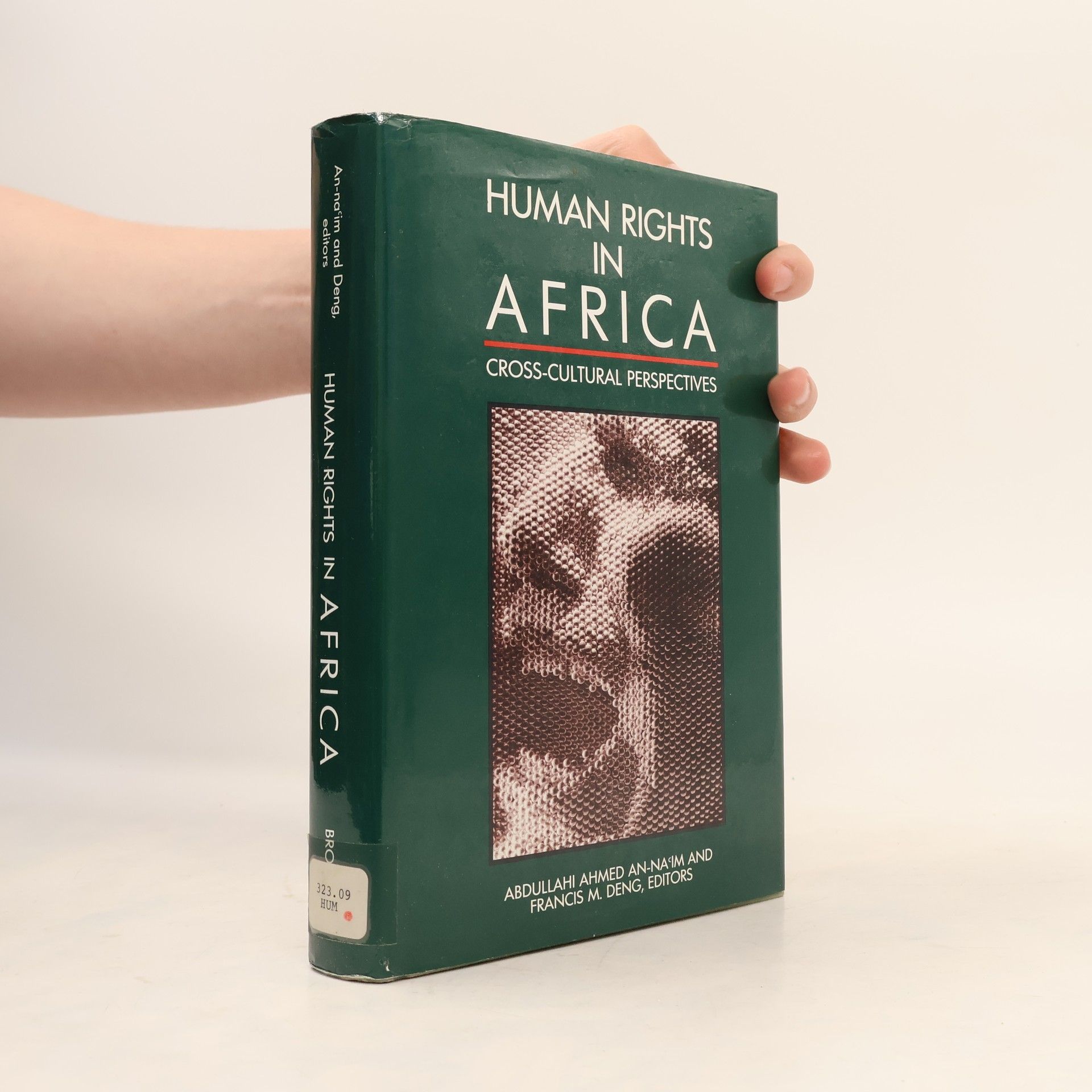 Abdullahi Ahmed An-Na'im Human Rights in Africa
