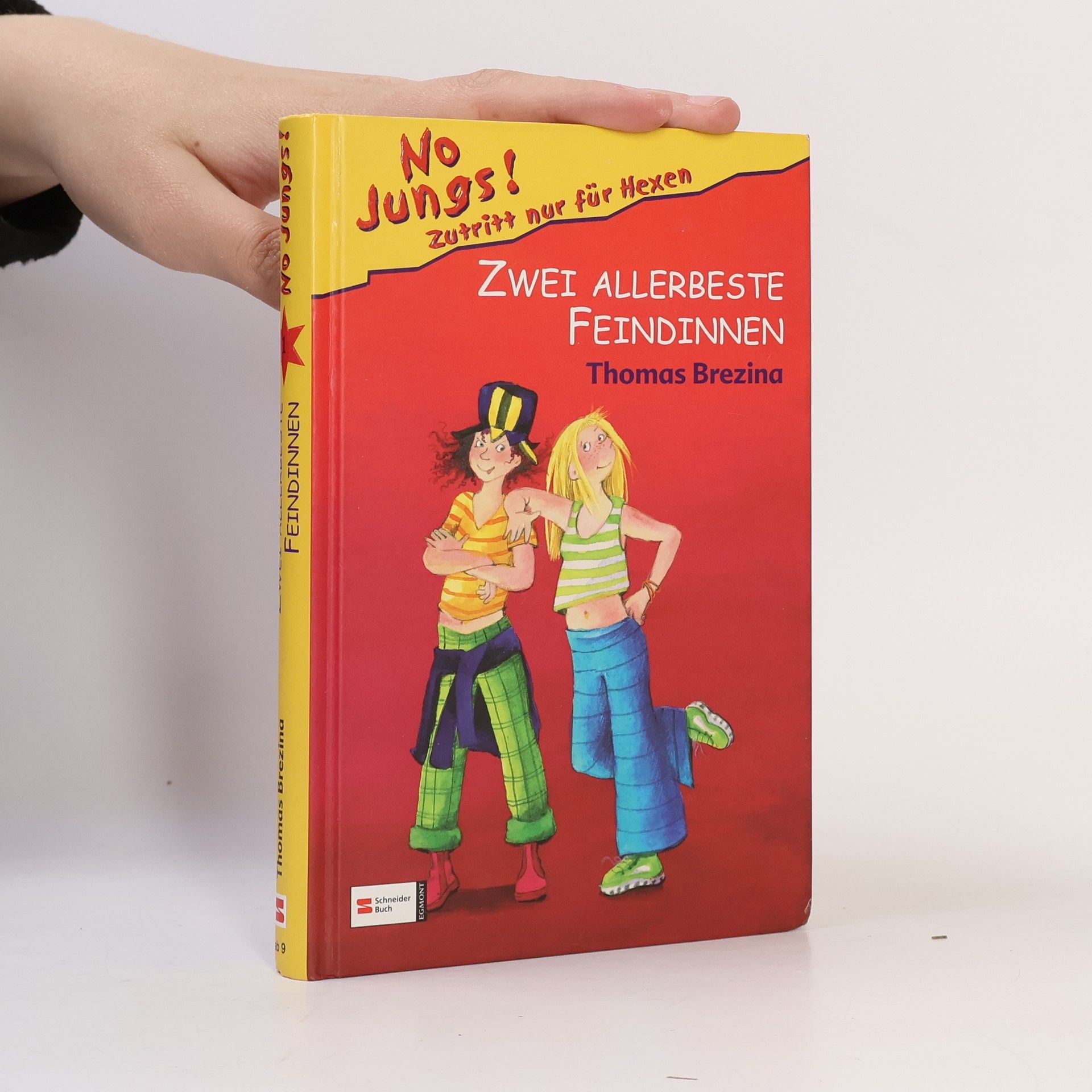 Thomas Brezina No Jungs! Zwei allerbeste Feindinnen