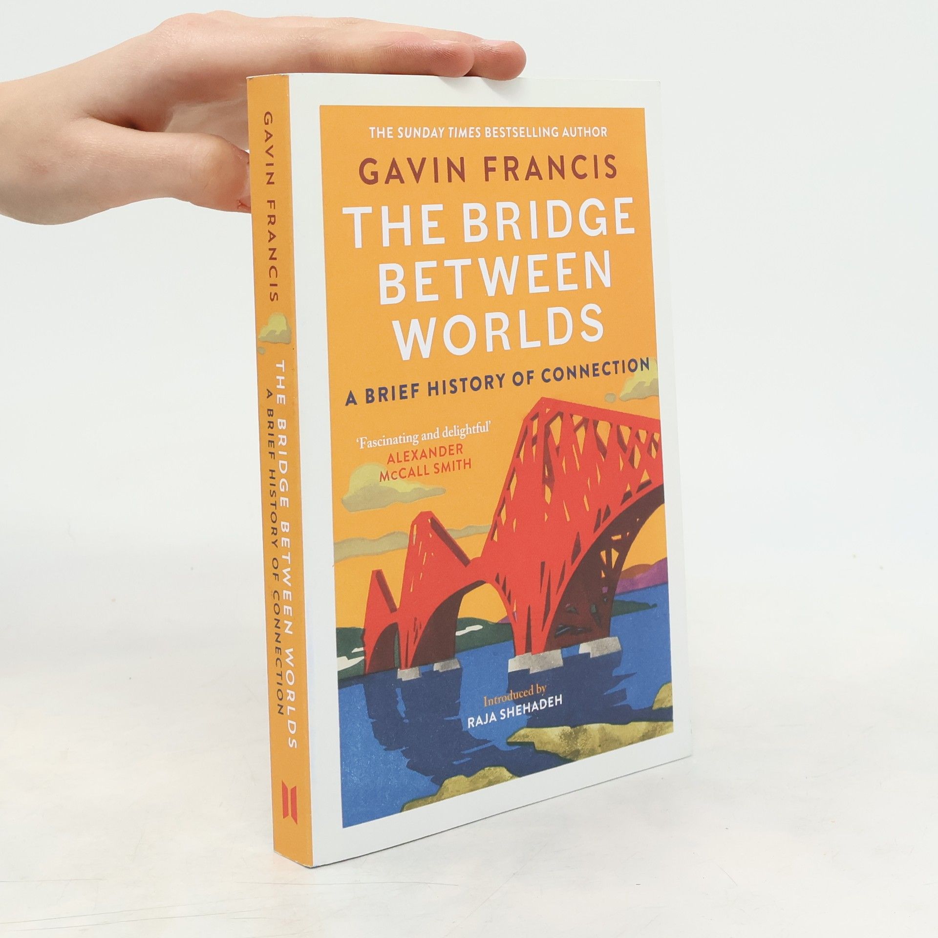 Gavin Francis The Bridge Between Worlds