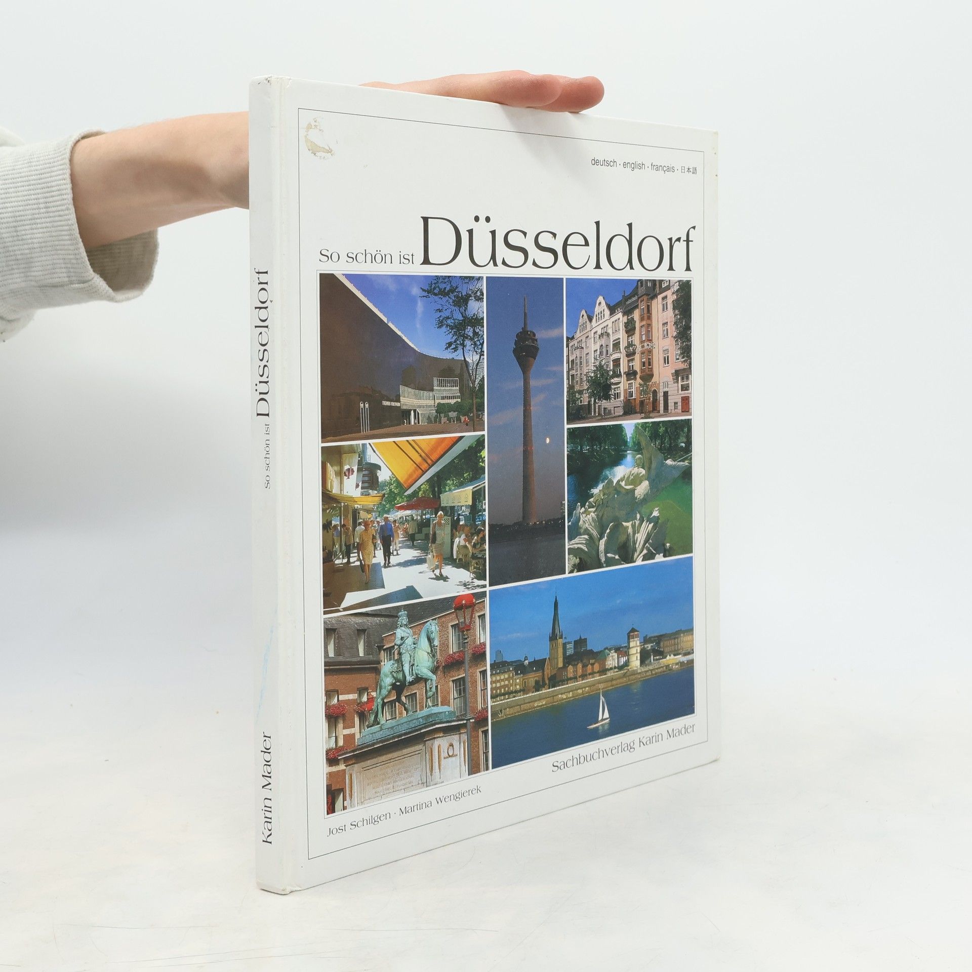 Jost Schilgen So schön ist Düsseldorf
