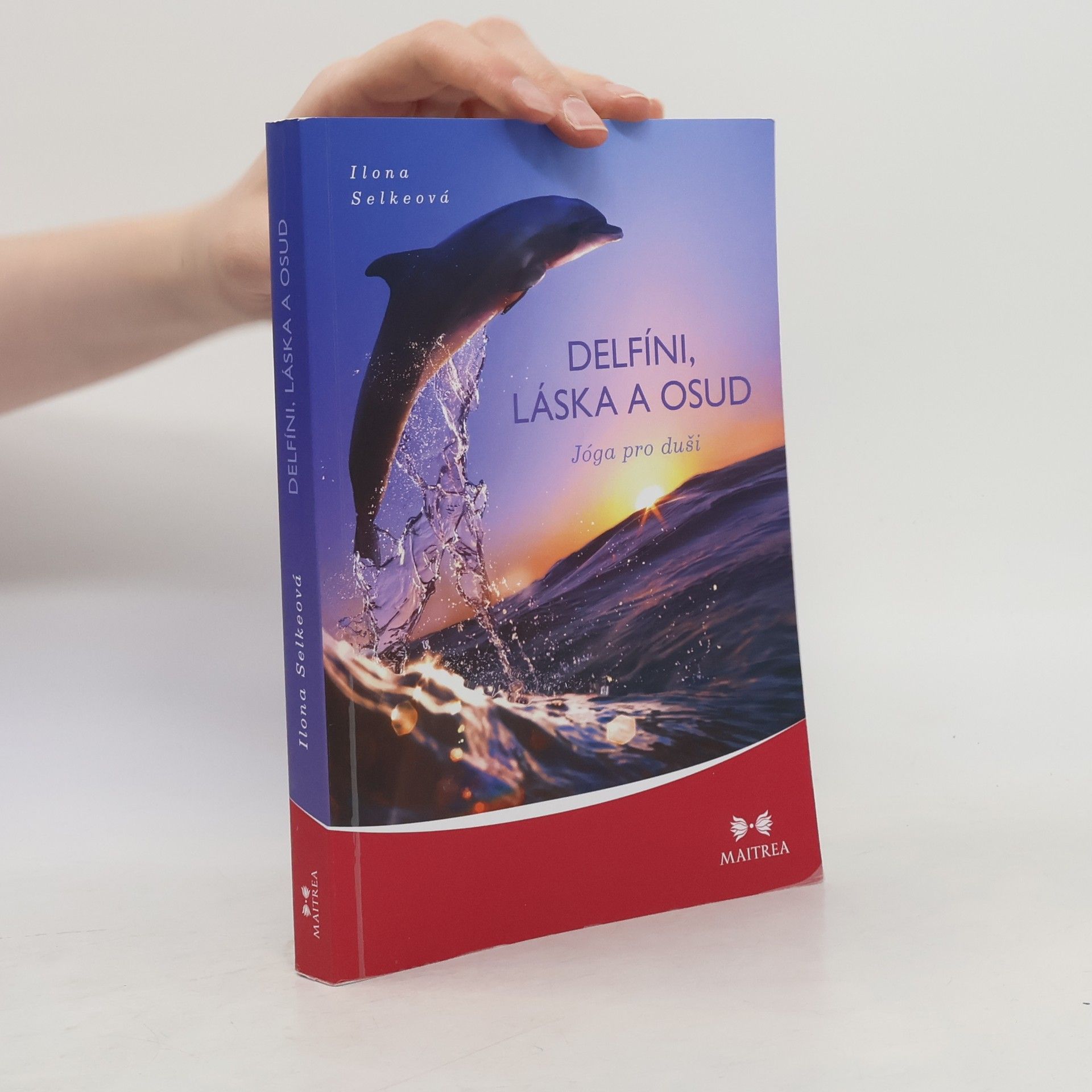 Ilona Selke Delfíni, láska a osud
