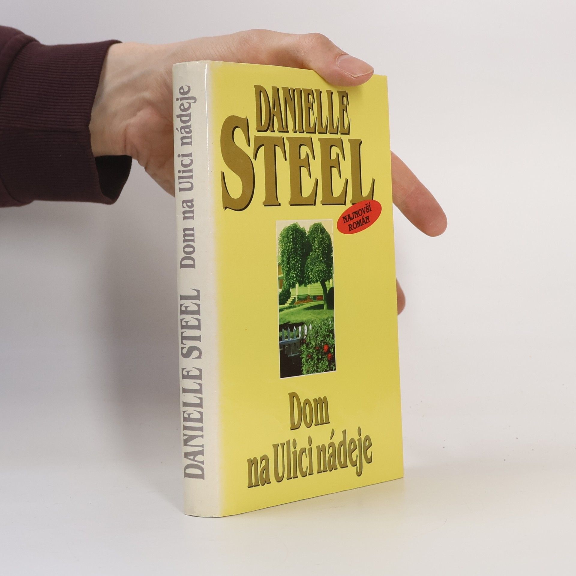 Danielle Steel Dom na Ulici nádeje