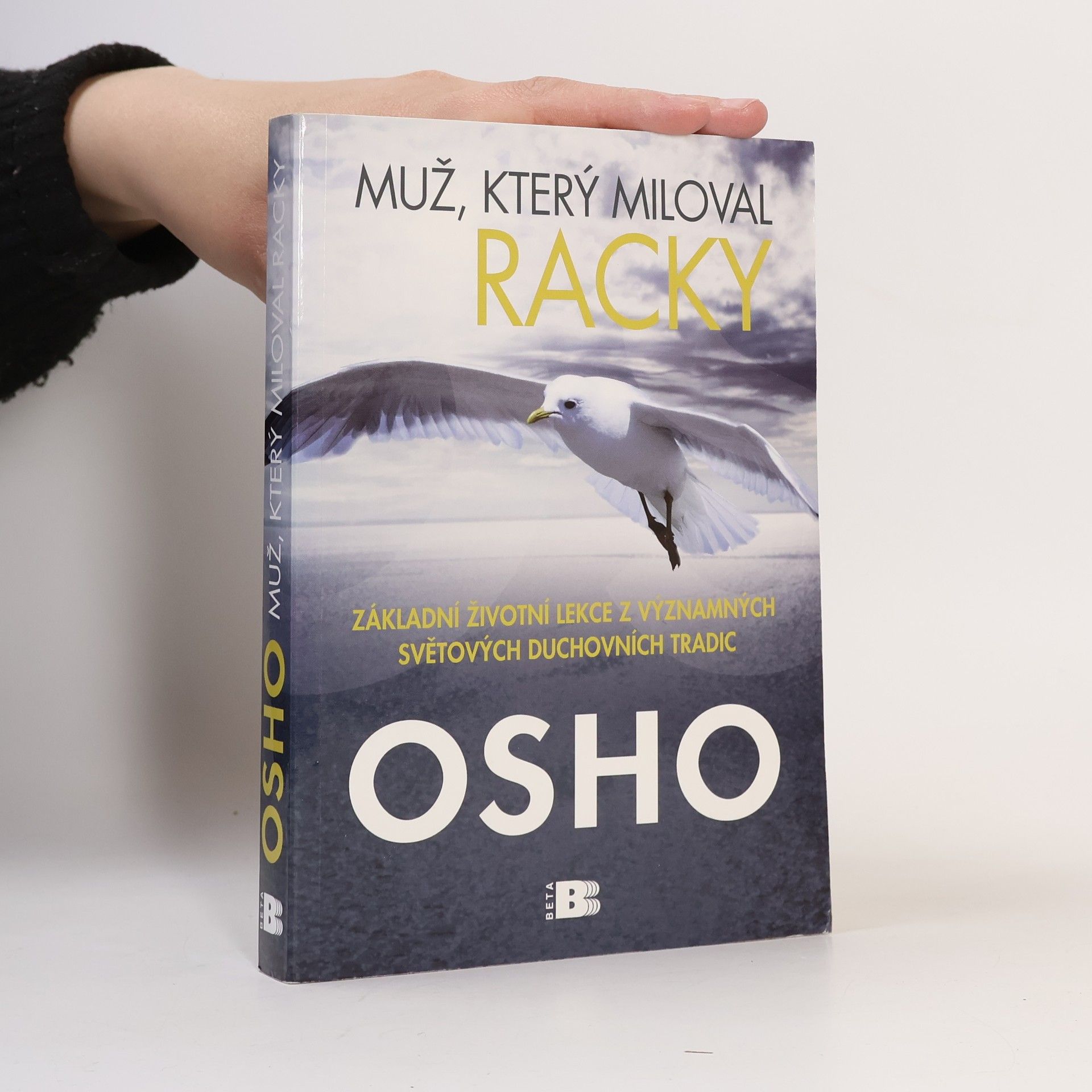 Ošó Muž, který miloval racky
