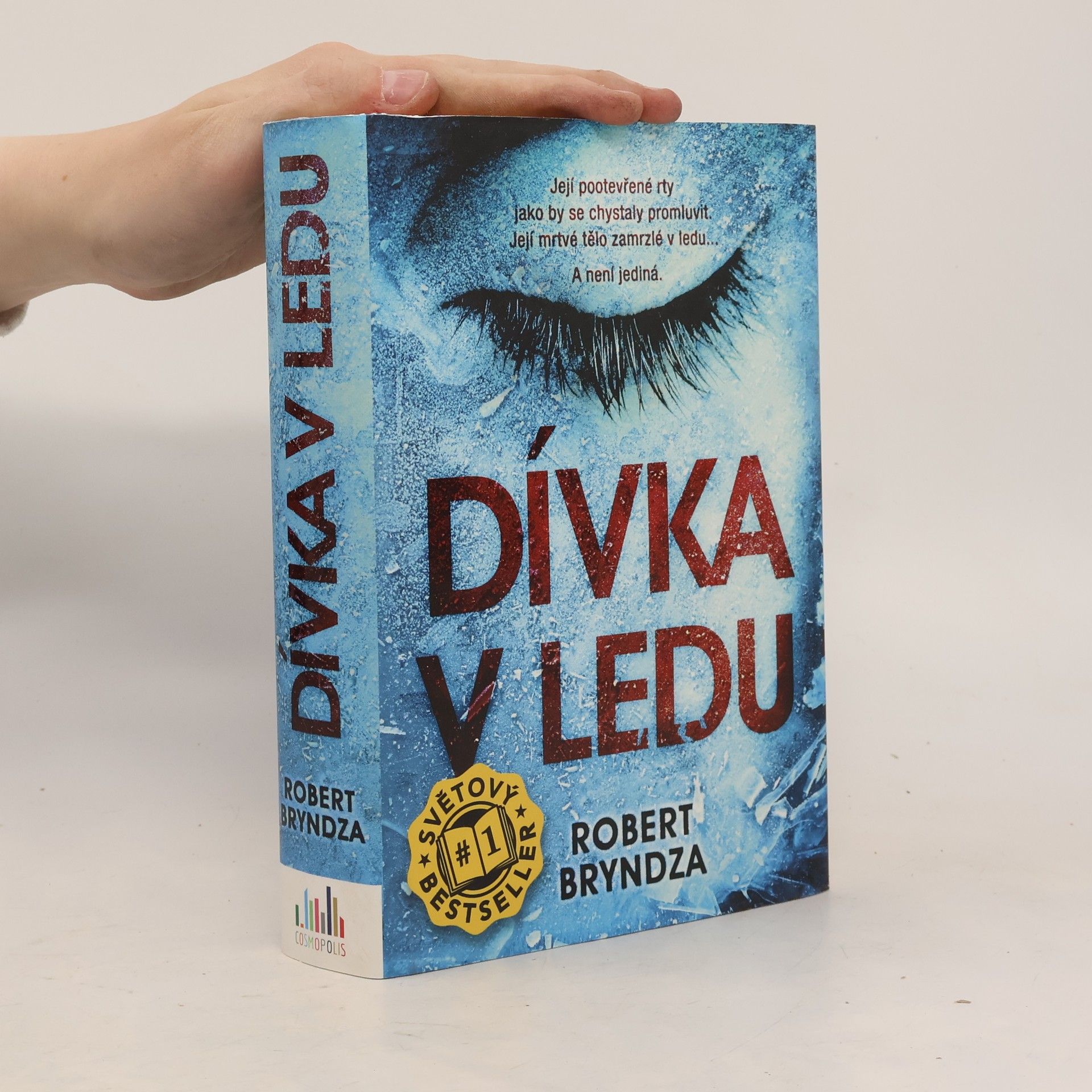 Robert Bryndza Dívka v ledu